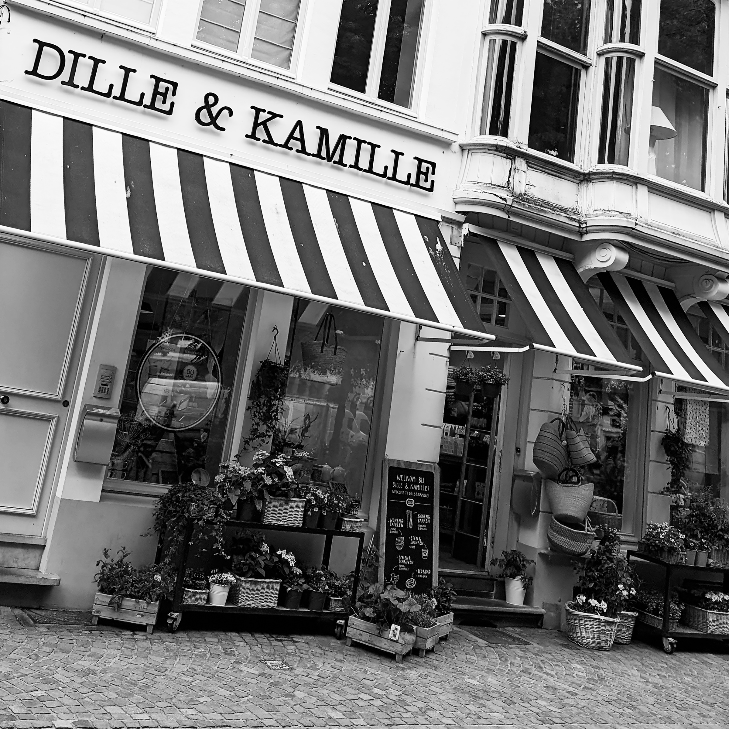 dille & Kamille.png