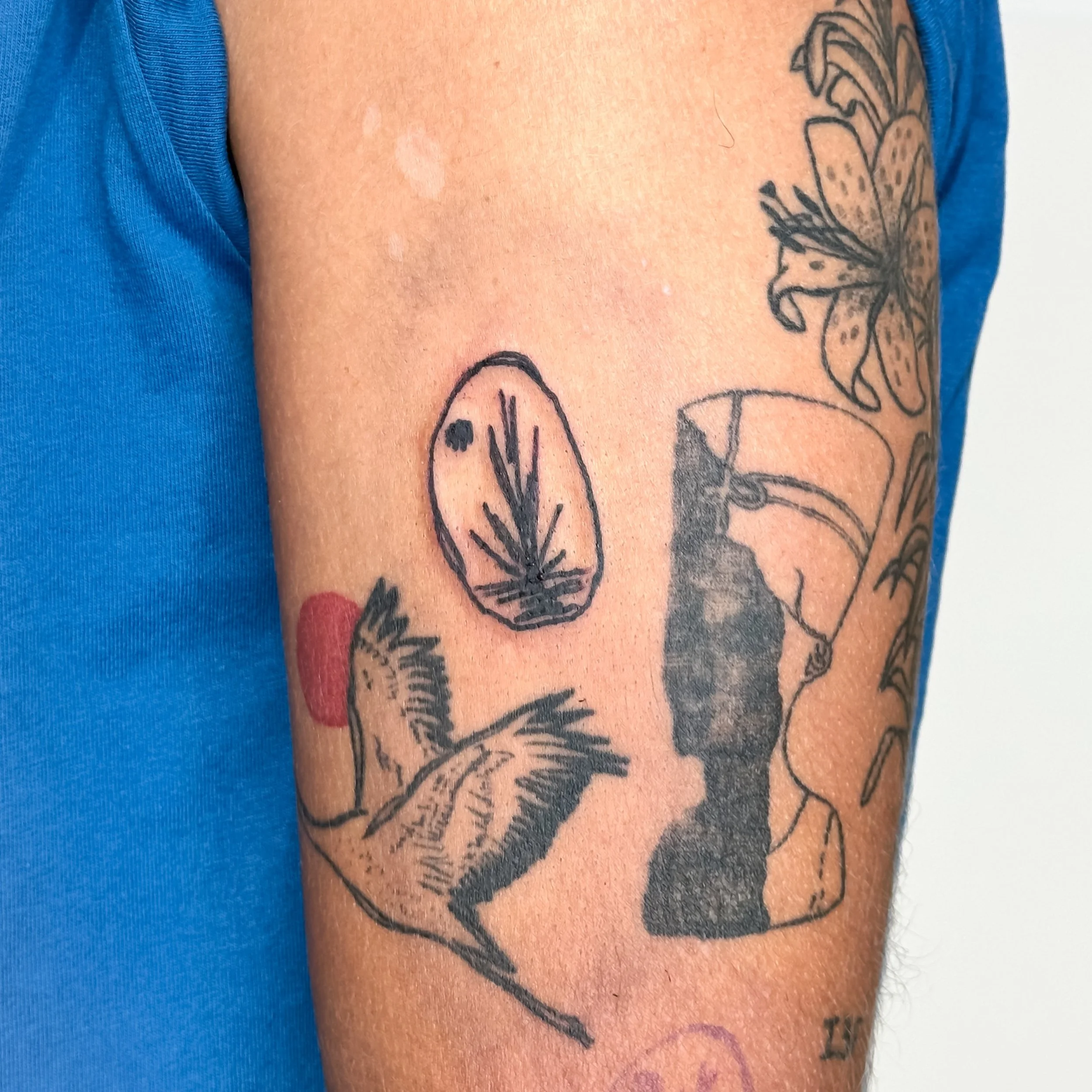 Perfectly fitting yucca for F, thanks for browsing &amp; picking my flash 🩵!

#abstracttattoo #illustrativetattoo #templeisletattoo #utcatattoos #yuccatattoo