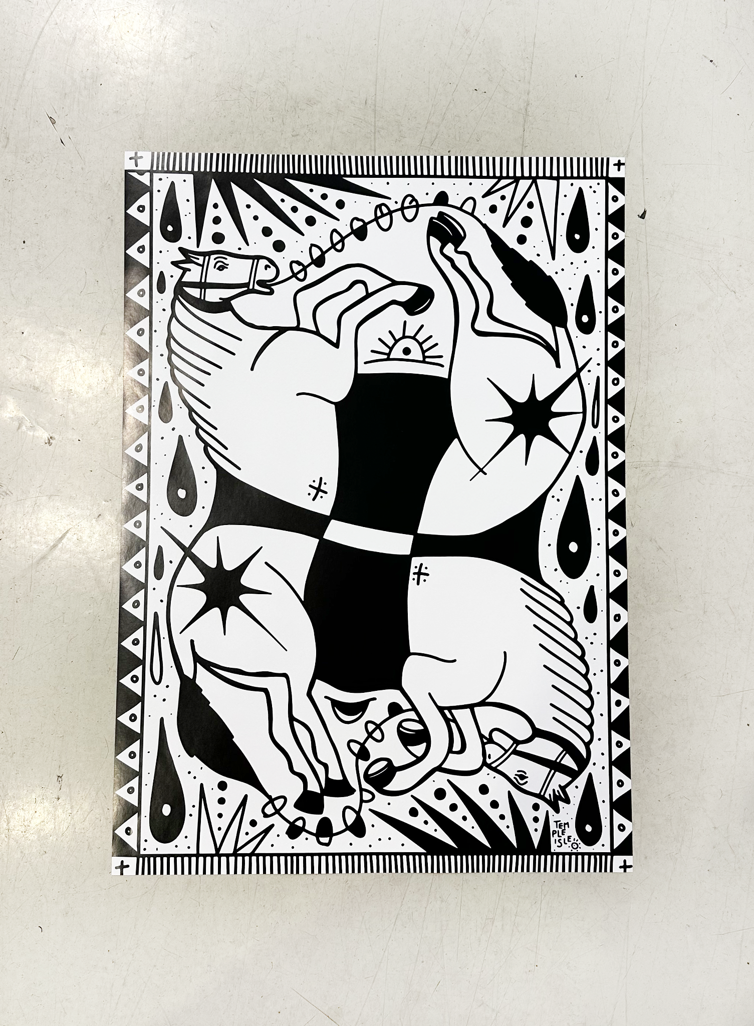 'RODEO DOJO' Fine Art Paper print