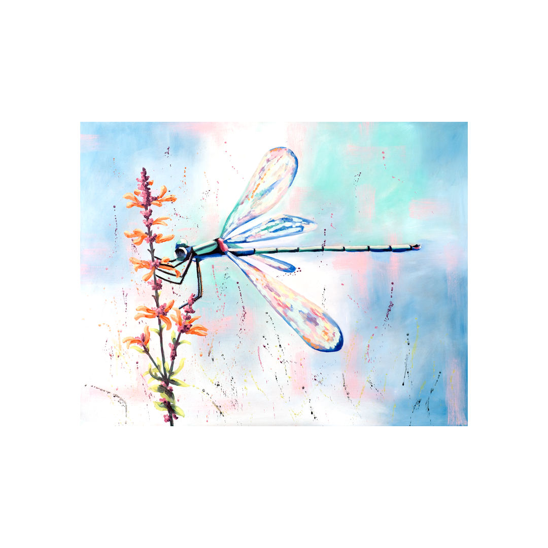 Dragonfly website.png