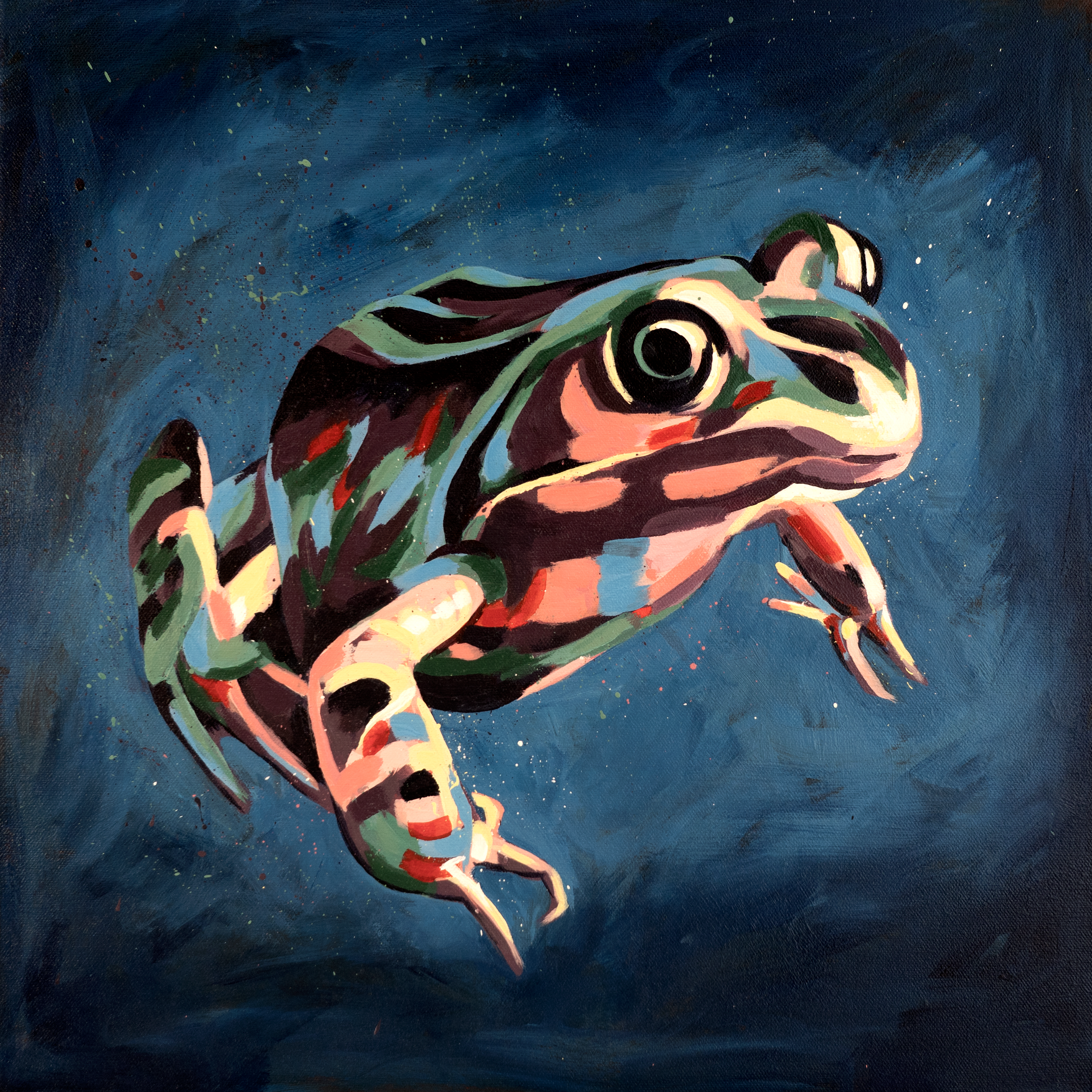Frog.png