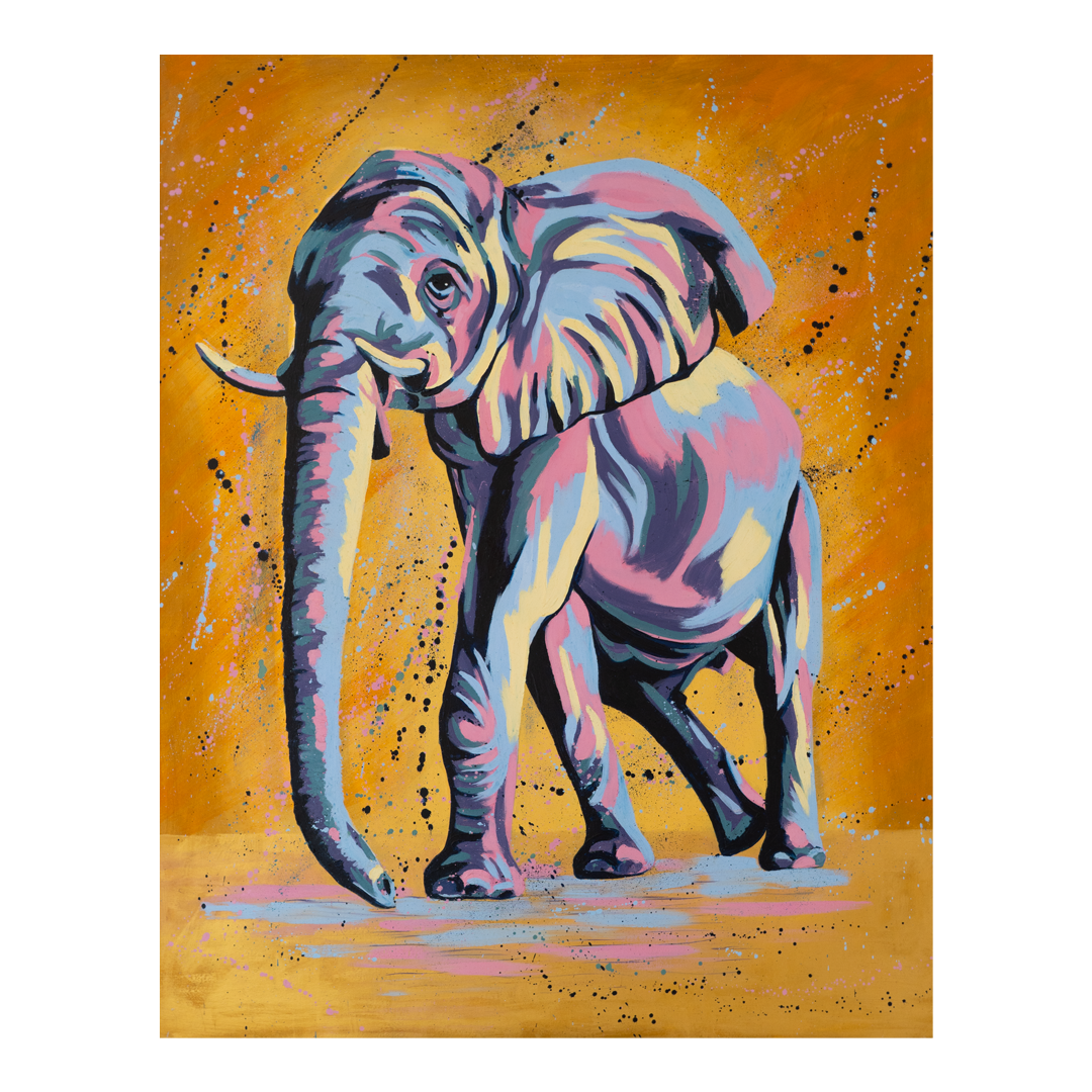 Elephant website.png