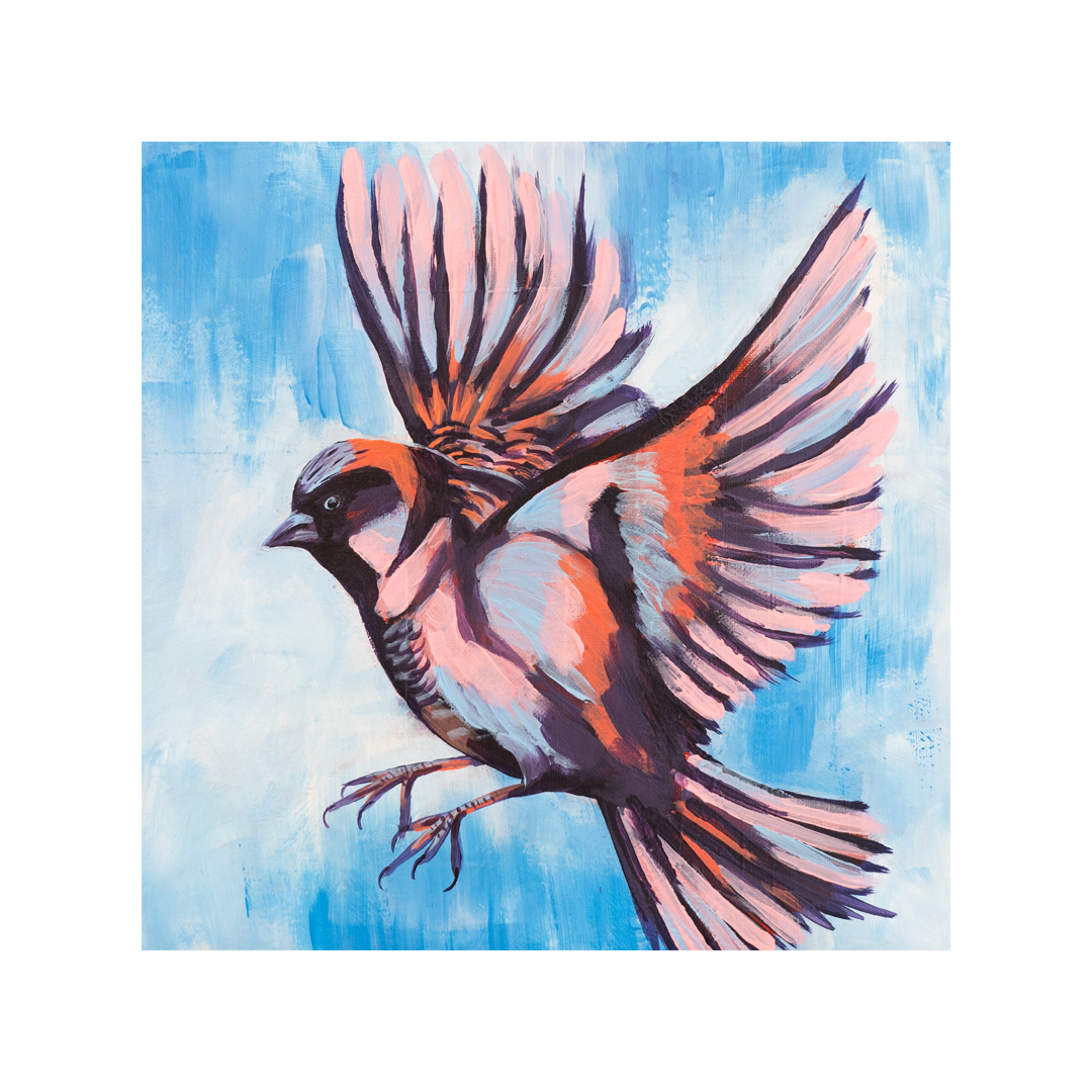 sparrow website.png