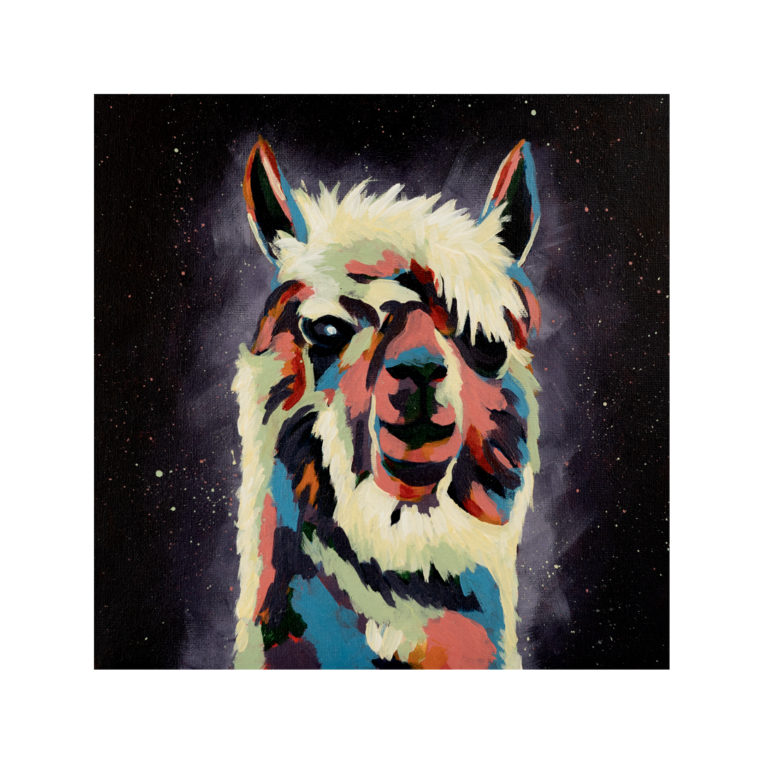 Alpacca webaite.png