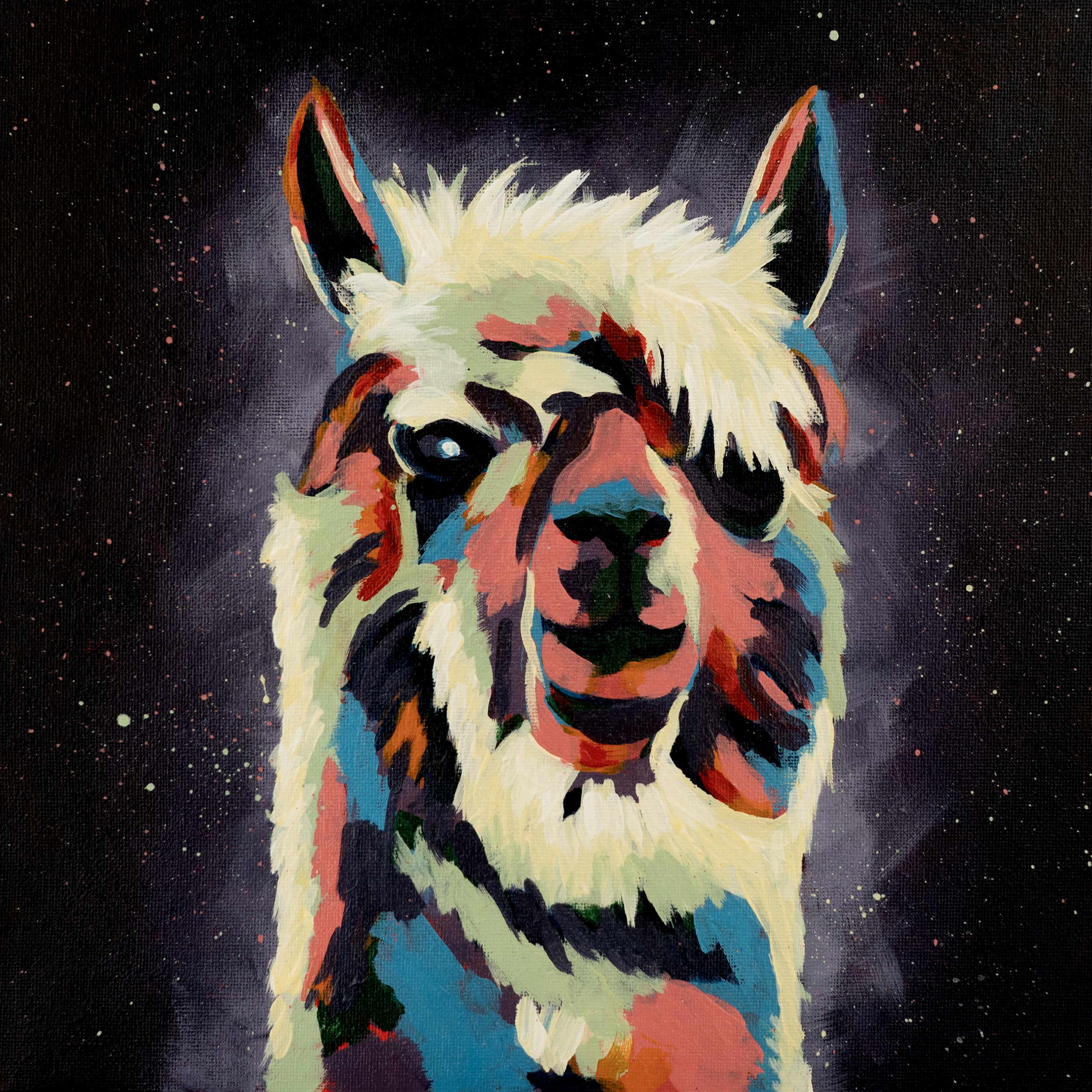Alpacca.png