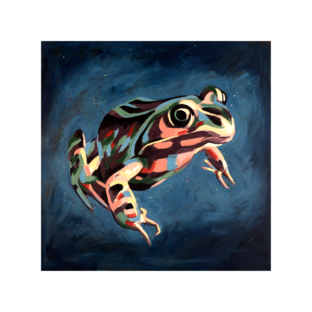 Frog website.png