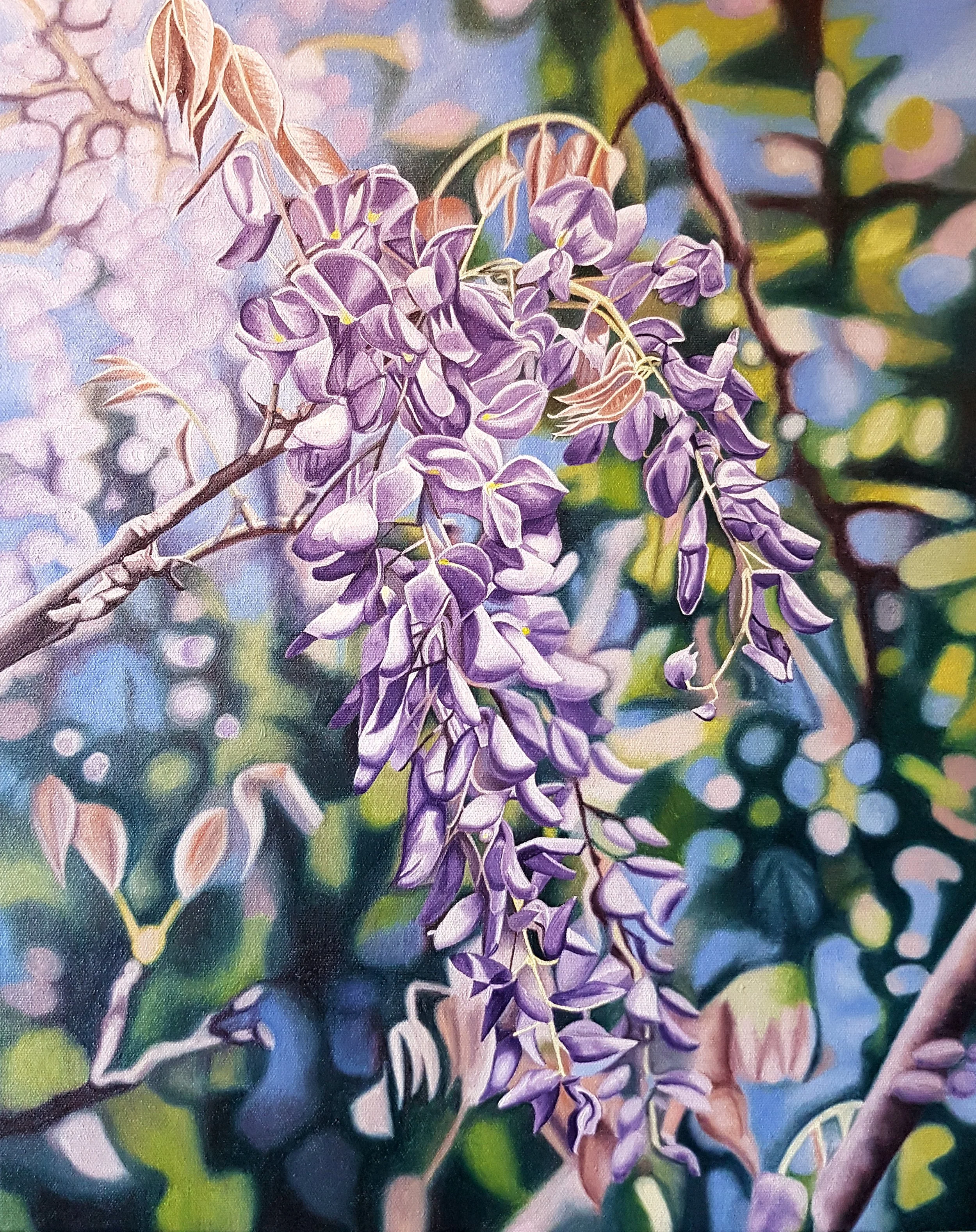 Wisteria