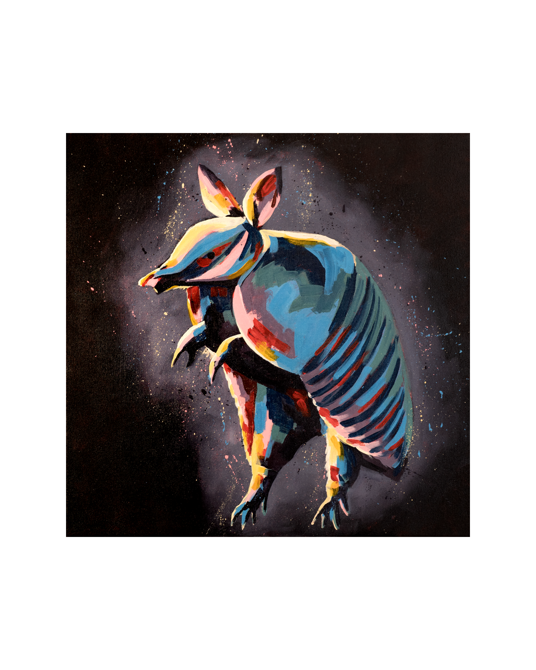 Armadillo website.png