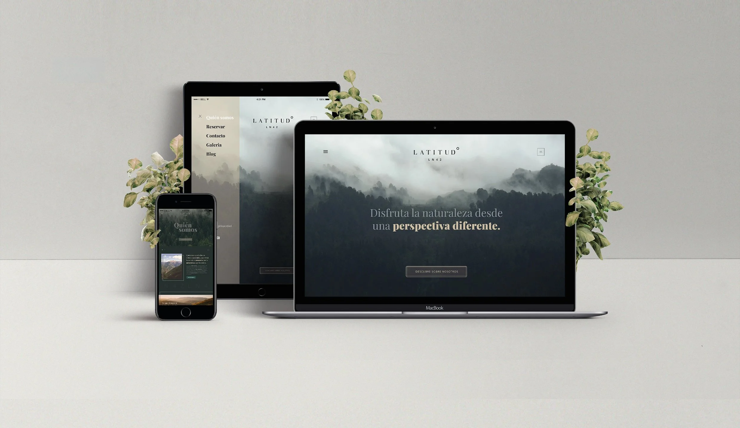 Branding Latitud