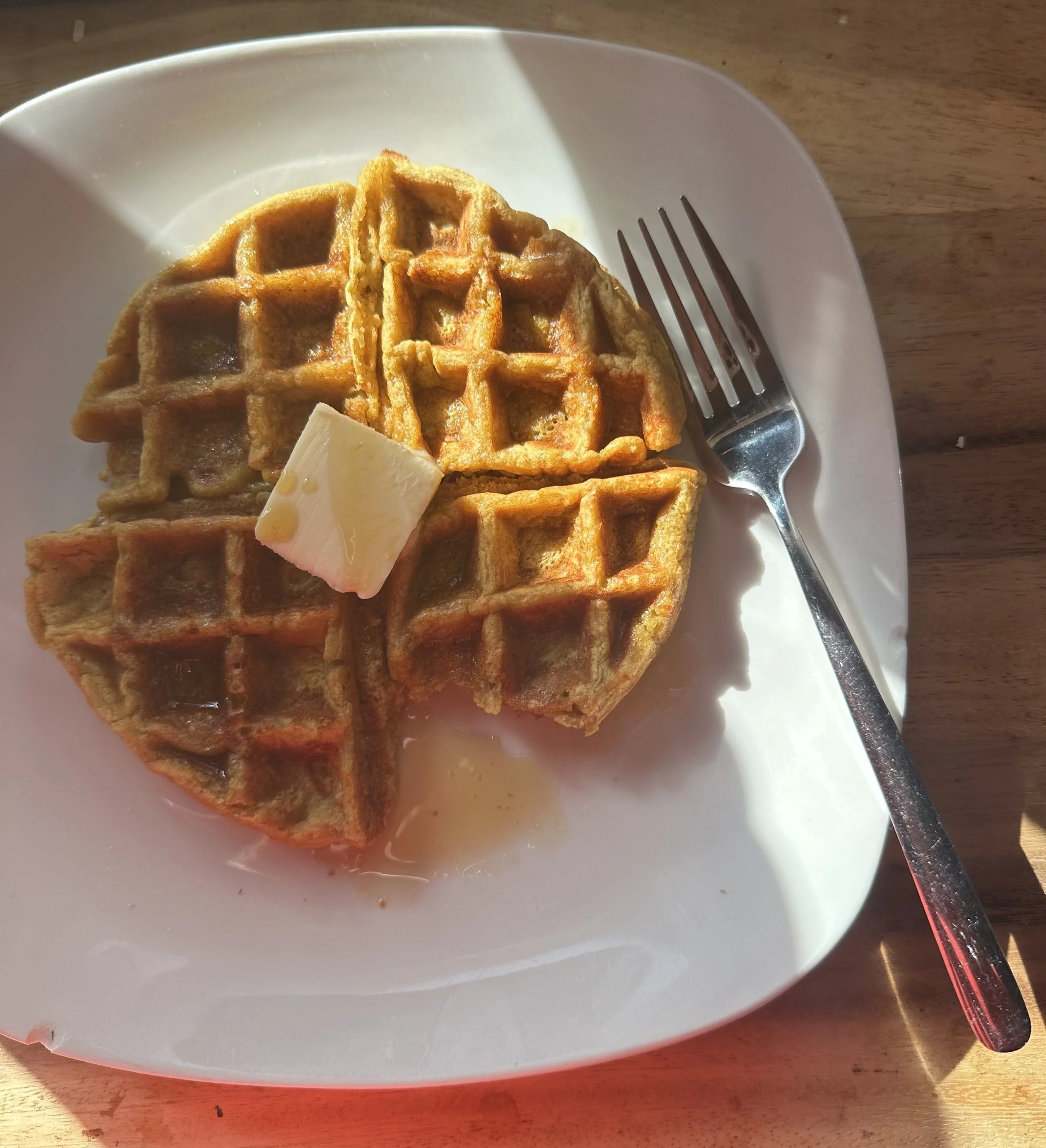 Blender Protein Pumpkin Waffles