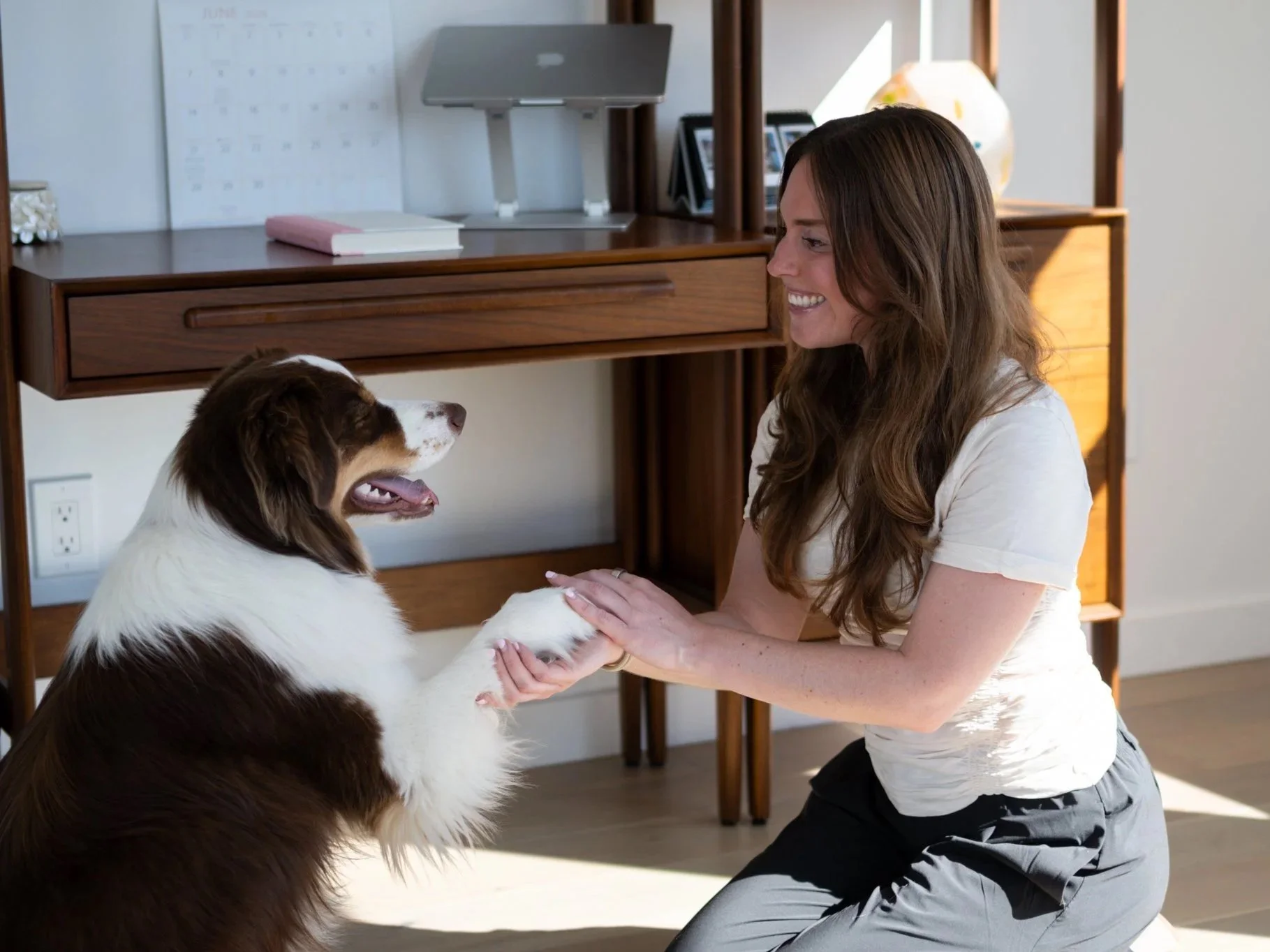 A woman kneeling on the floor playing with a large brown and white dog. The woman is smiling and holding the dog's paws. The background has a wooden shelf with decorative items and a desk with a laptop, books, and framed photographs.