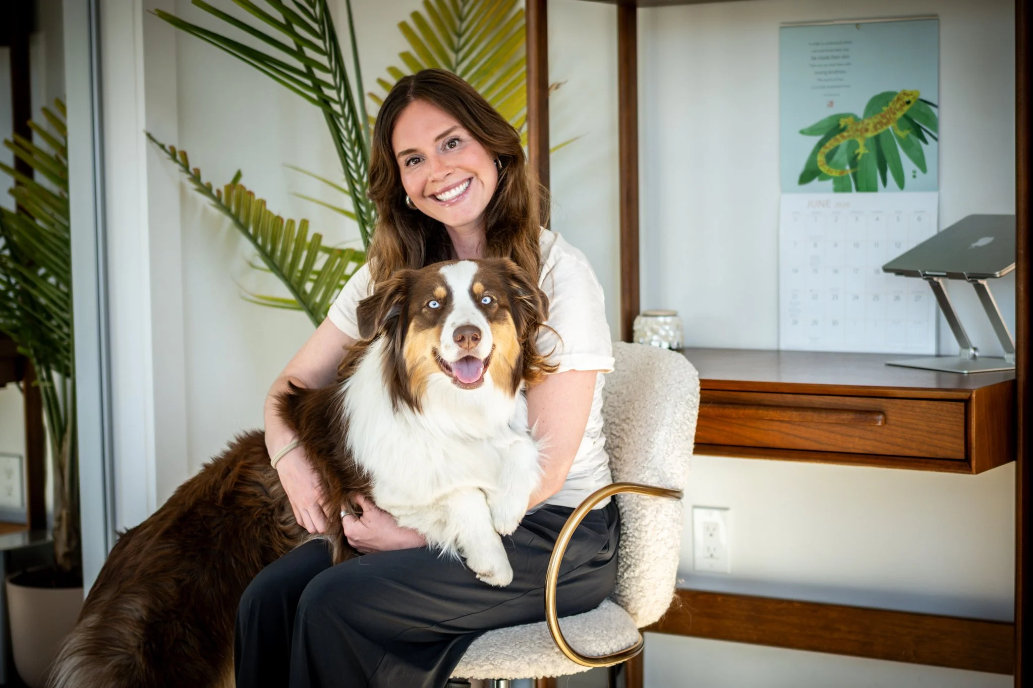 A woman with long brown hair smiling while sitting on a chair, holding a large brown and white Australian Shepherd dog with striking blue eyes in an indoor space decorated with plants and a wall calendar.