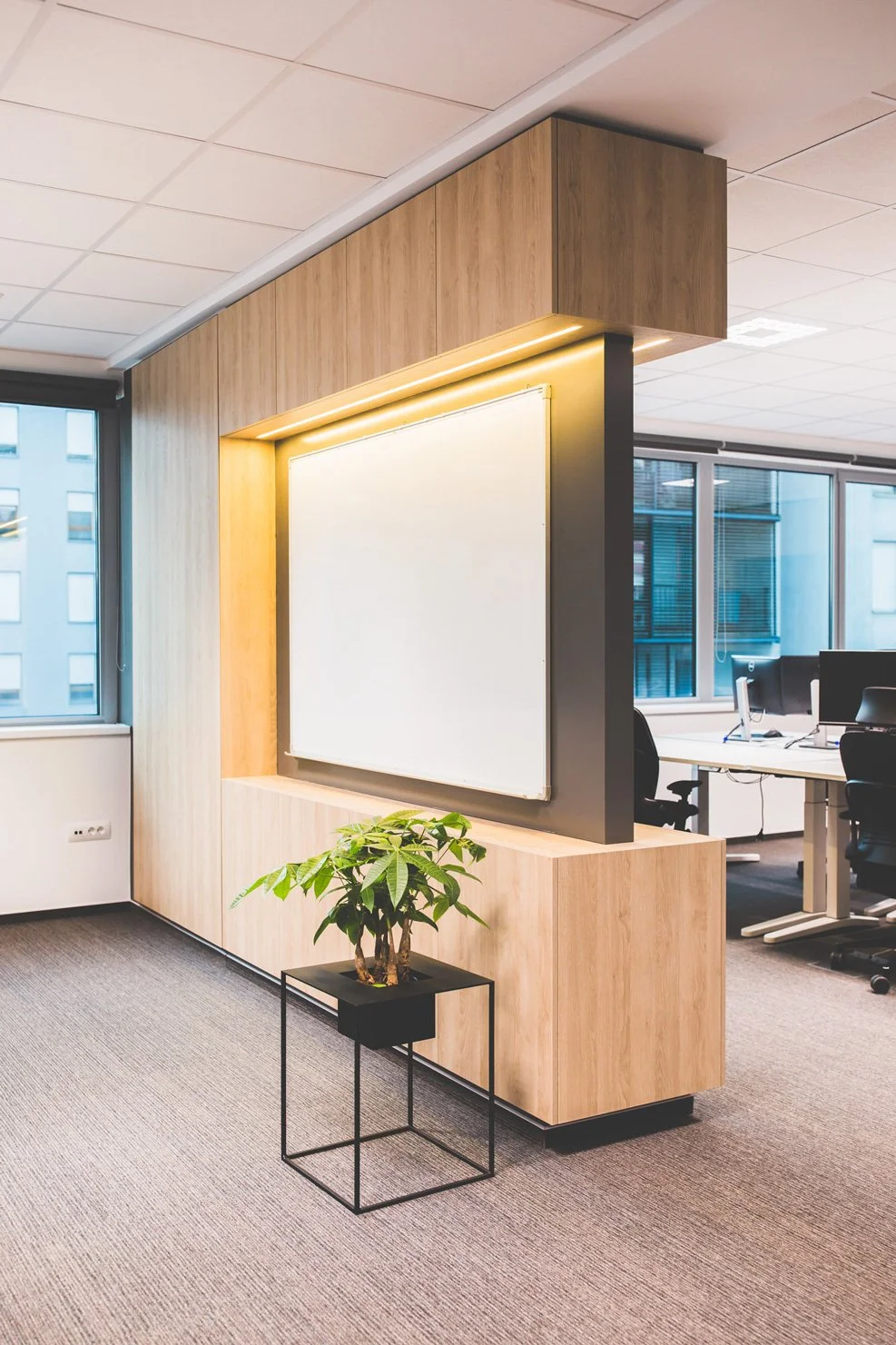 Modern office with desks and computers, large windows, and a whiteboard on a wooden wall with a potted plant in the foreground.