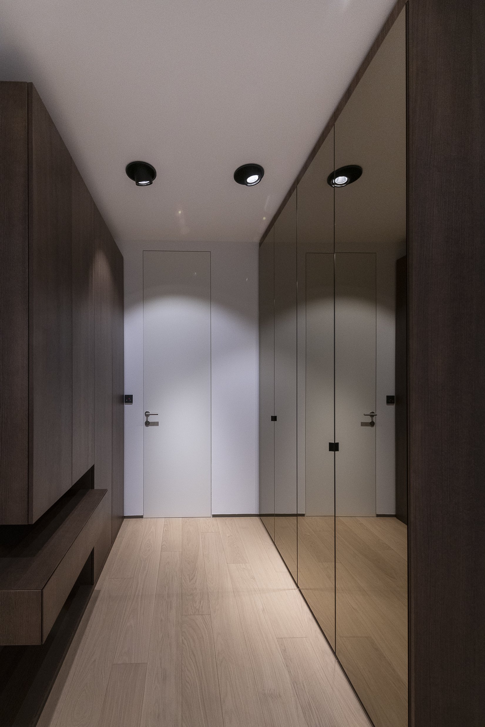 Modern hallway with light wooden flooring, dark wood wall panels, and a mirrored closet on the right side. There are two ceiling-mounted lights illuminating the space and a white door at the end of the hallway.