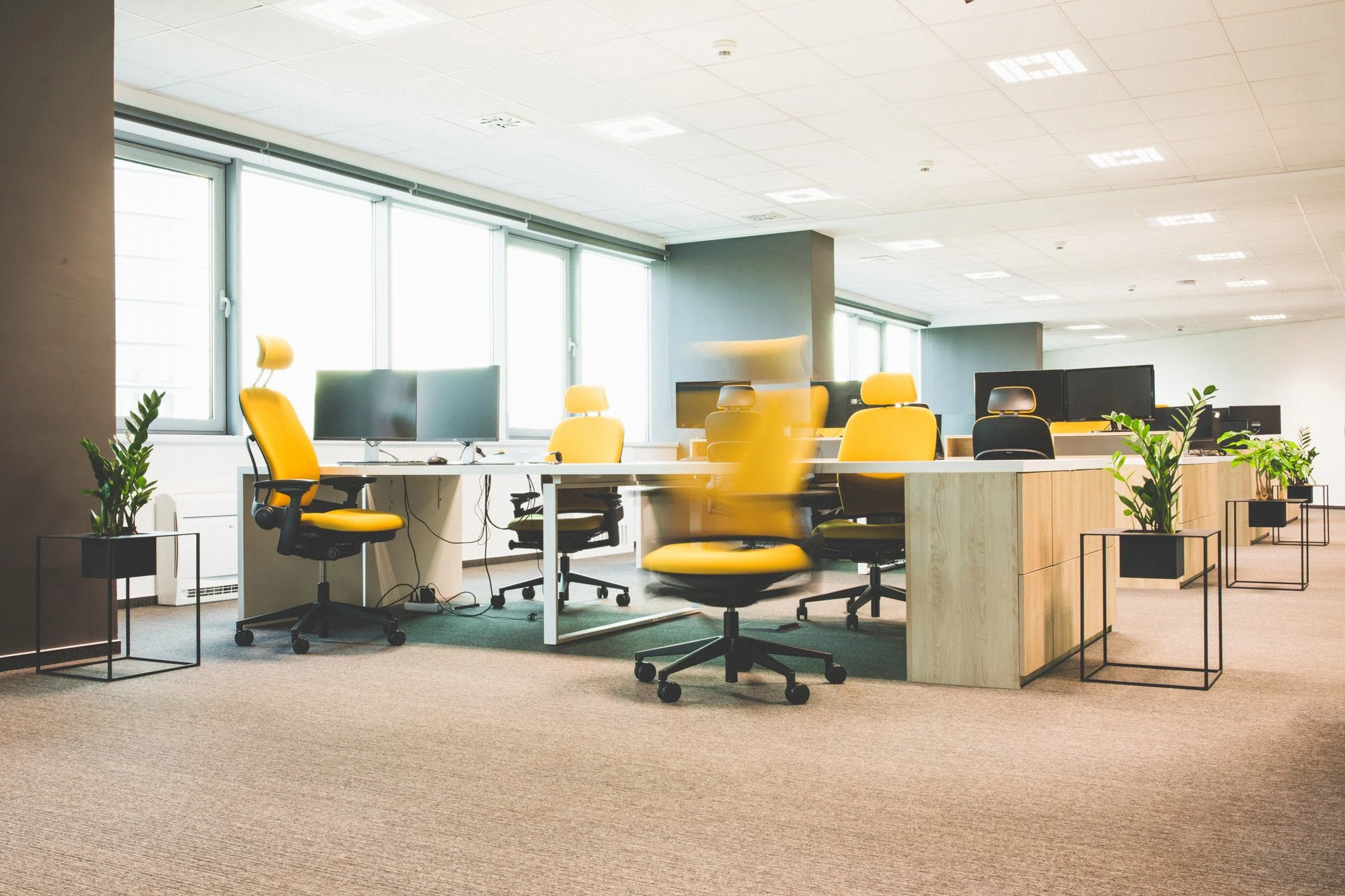 Empty modern office with yellow and black chairs, desks, computer monitors, potted plants, large windows, and bright lighting.