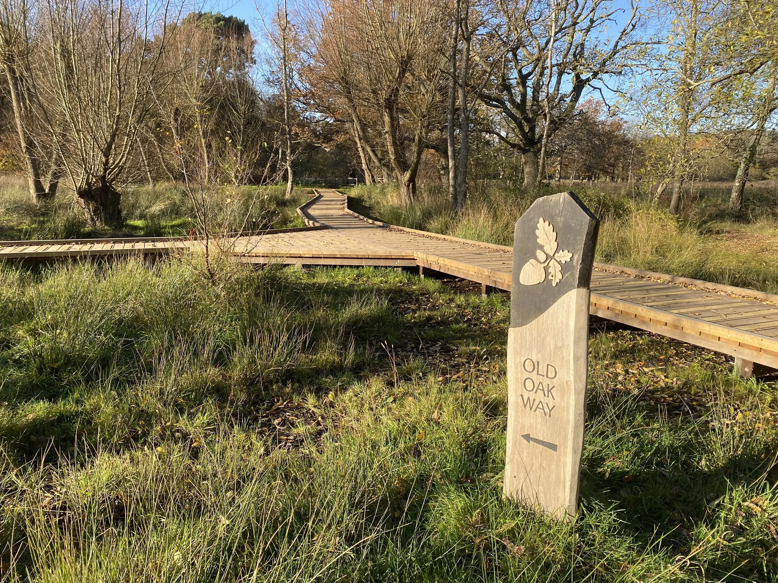 Bramshot Country Park