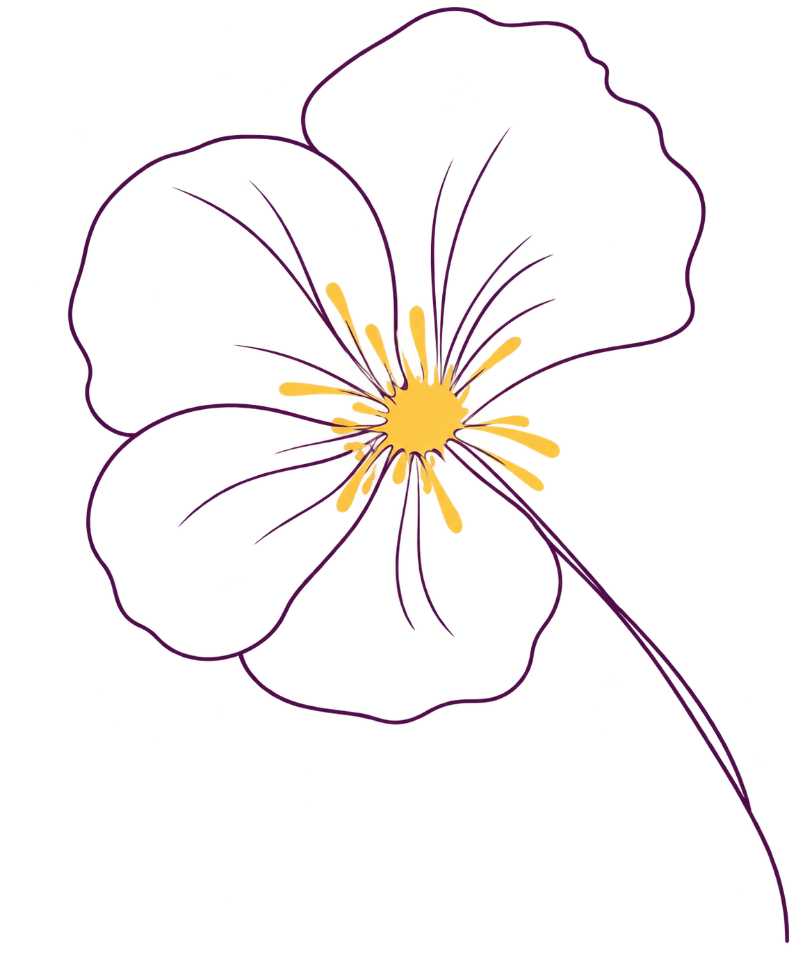Outline drawing of a hibiscus flower with purple petals, yellow and red center, and a long purple stamen.