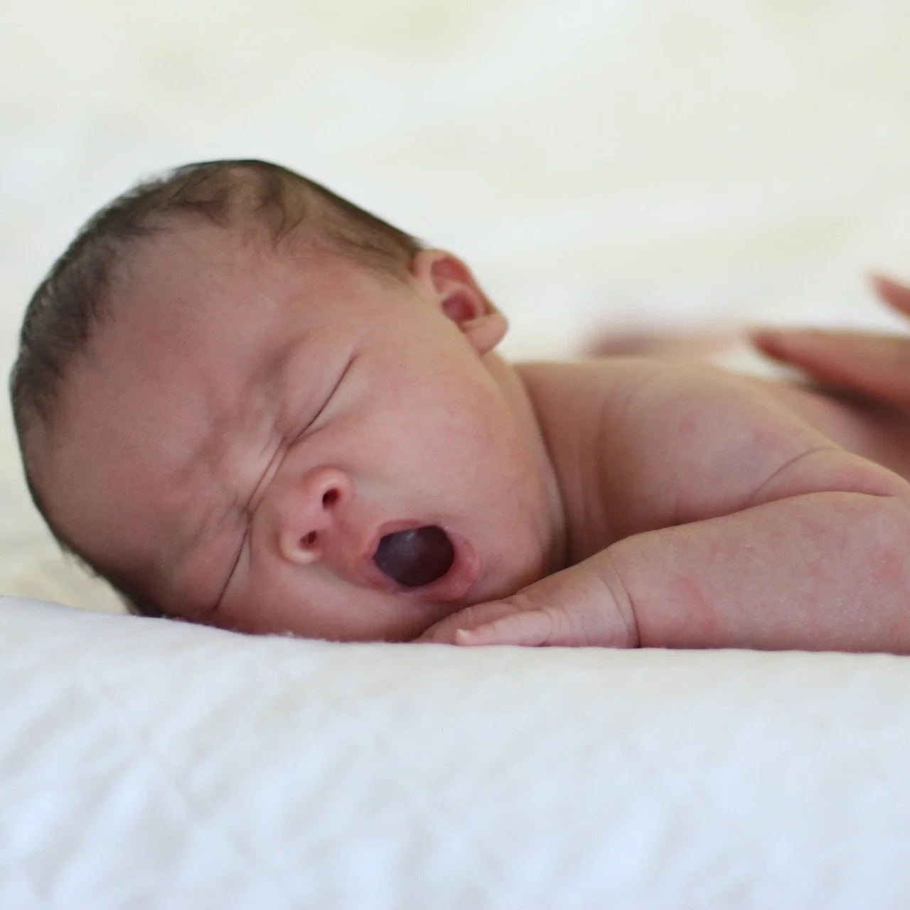 yawn-2073293_1920.jpg