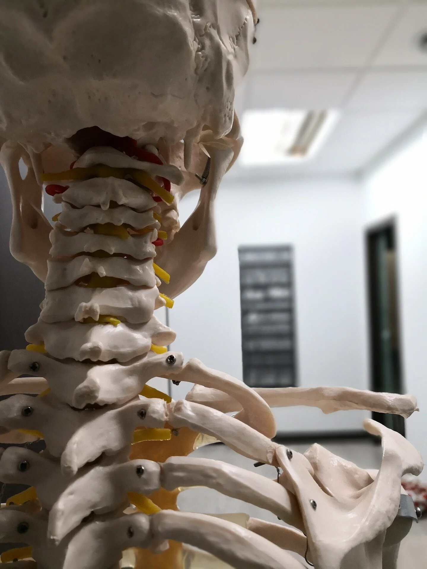 physiotherapy-4099066_1920.jpg