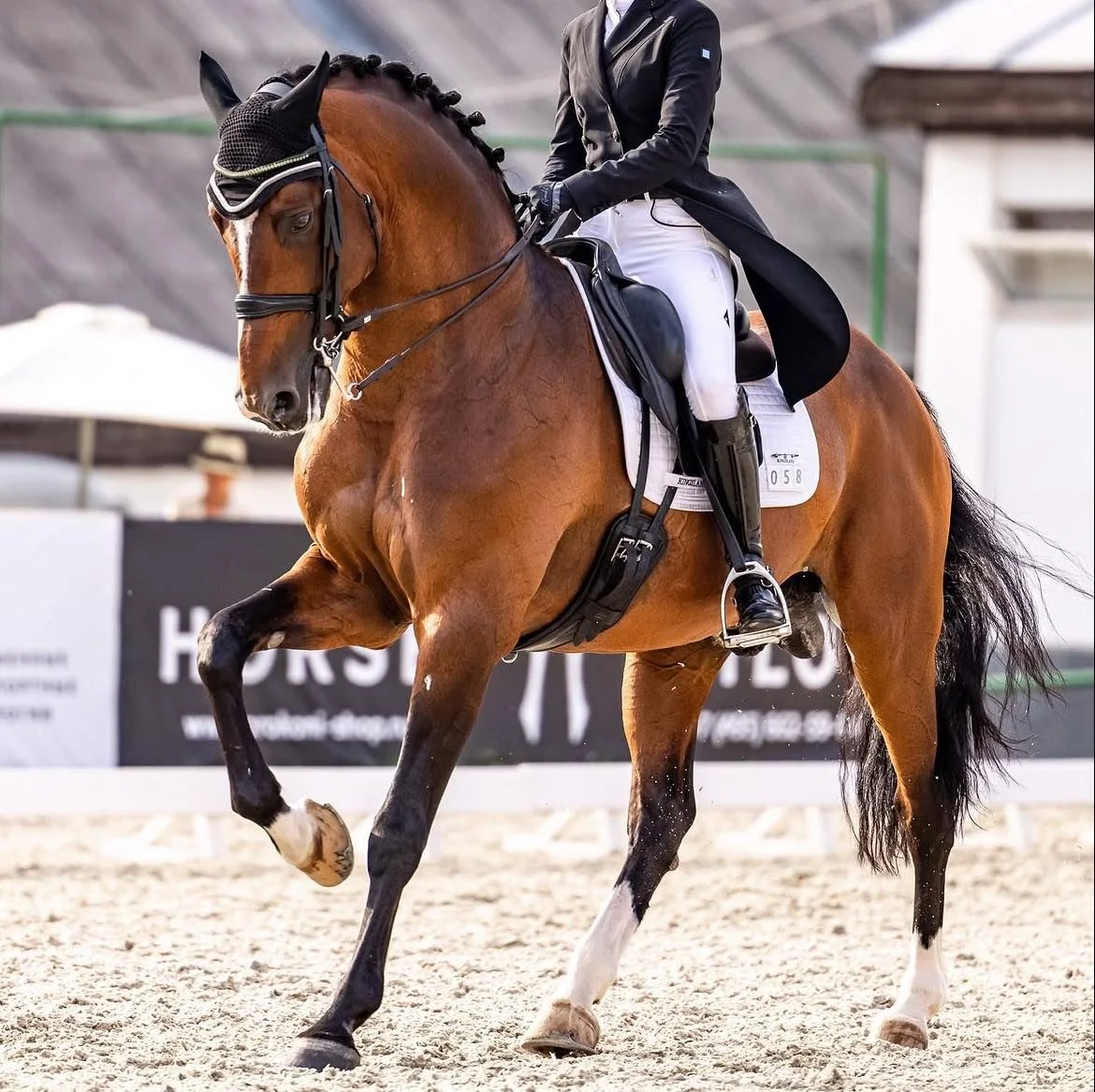 A rider dressed in formal equestrian attire riding a brown horse on a sandy arena during a competition.