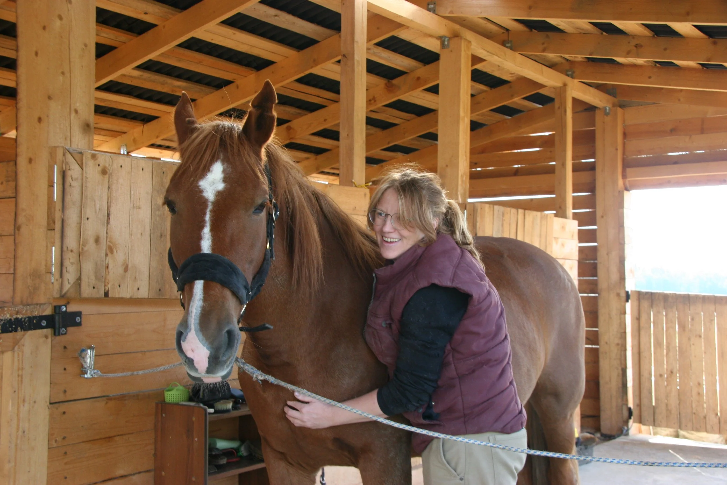 A woman with glasses hugging a large brown horse inside a wooden stable. The woman is smiling and wearing a purple vest, and the horse has a white star marking on its face.