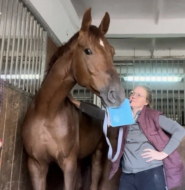 Equine conditions