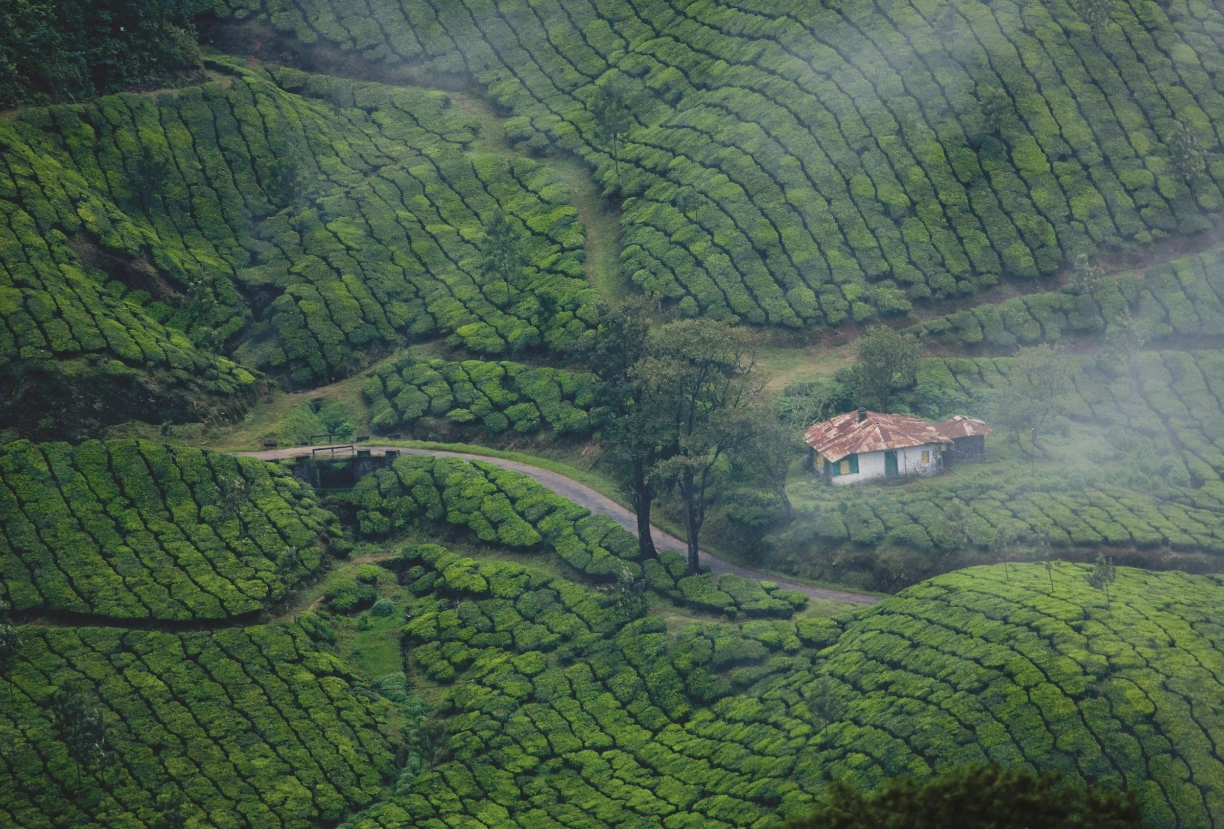 unsplash-image-Jqc2nOH3u3Y.jpg