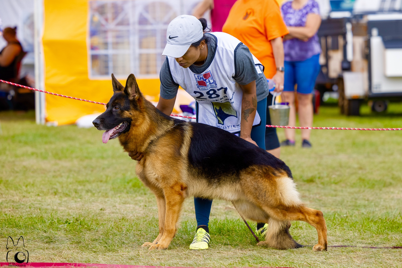 A woman handling a German Shepherd dog at an outdoor event, with other people and tents in the background.