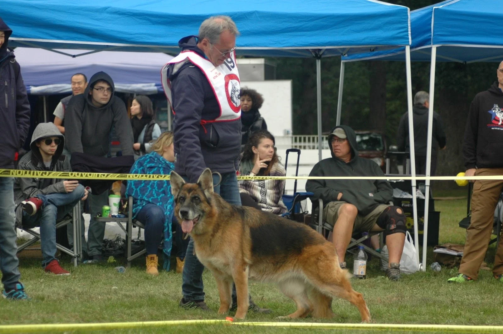 A large German Shepherd dog standing on grass with its tongue out, in front of a group of people sitting and standing under blue tents at an outdoor event.