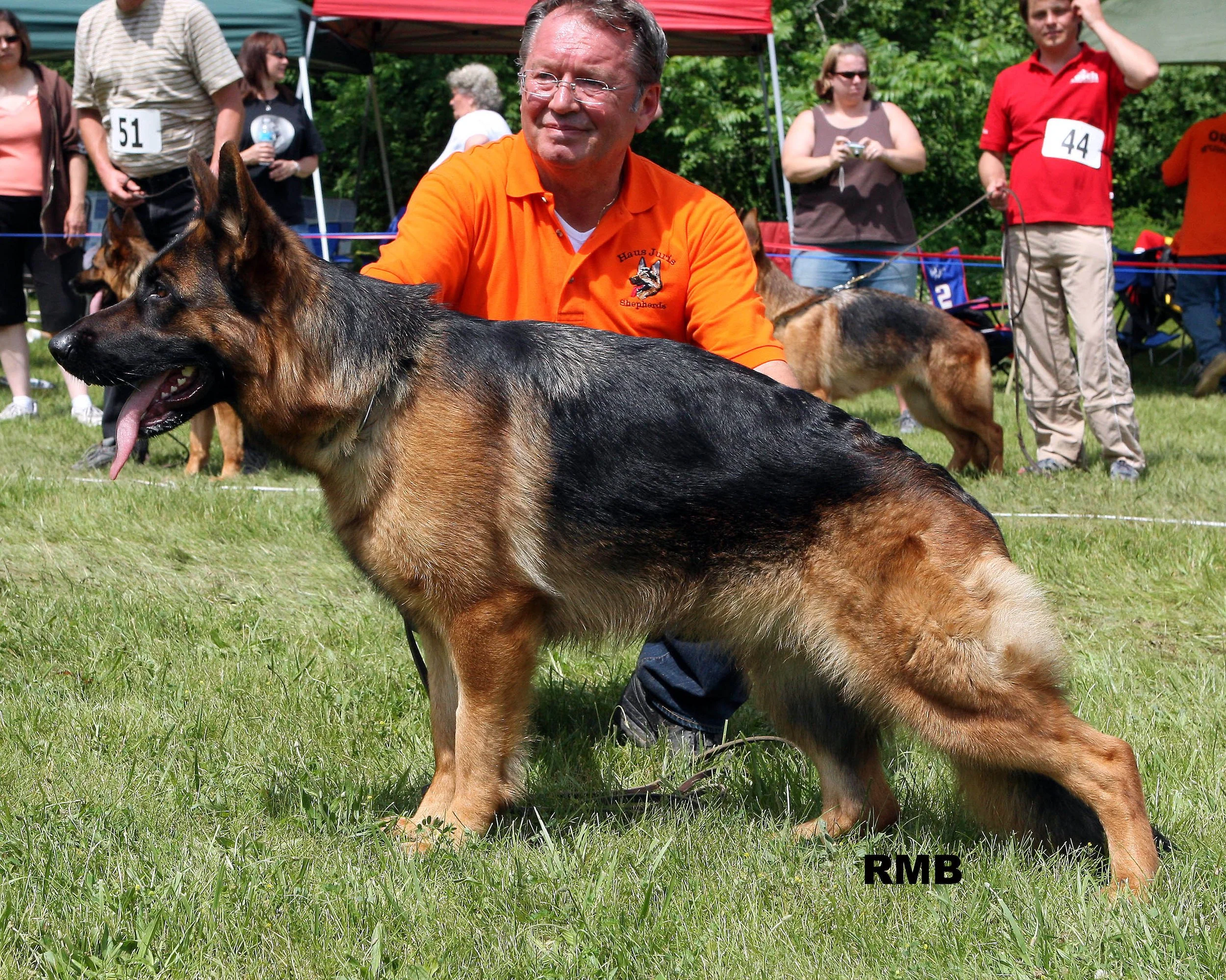 A man in an orange shirt sitting with a German Shepherd dog at an outdoor event on a grassy field, with several other people and dogs in the background.