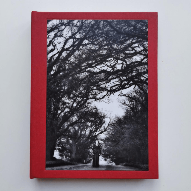 Red cover of I Also Fight Windmills featuring a black-and-white photograph of trees.