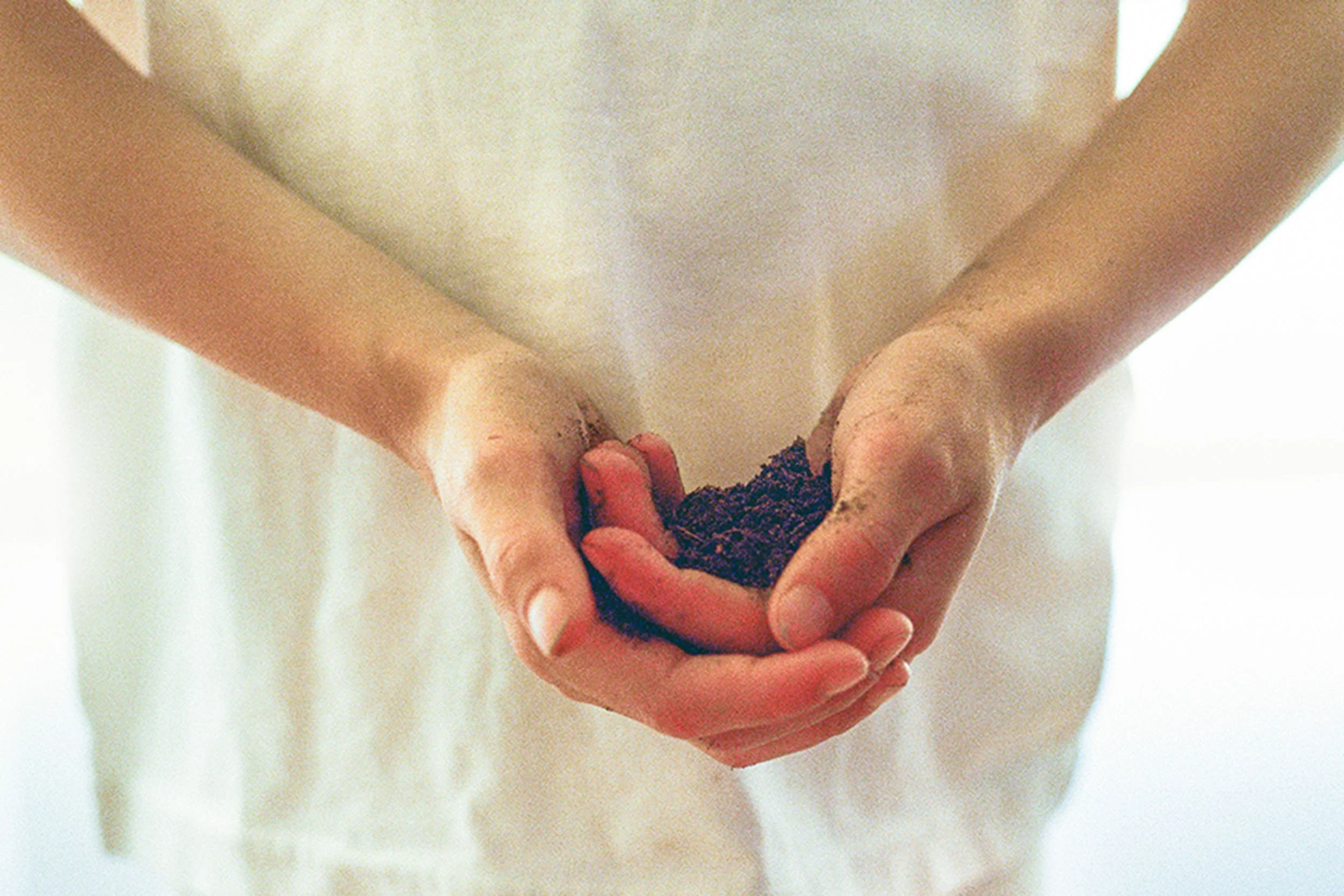 Hands holding dark soil, from Ania Ready’s From Her Mother’s Country.