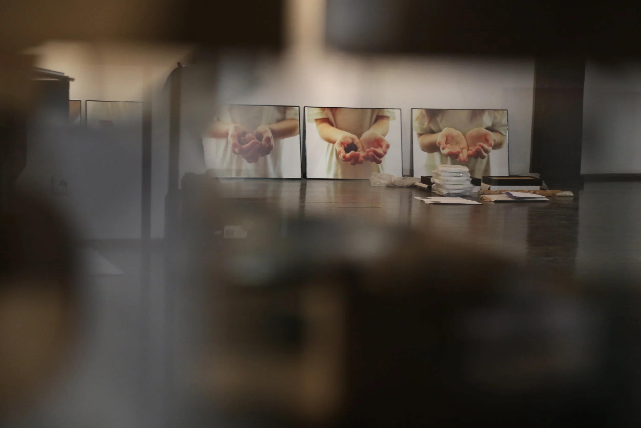 Installation view at wozownia gallery of Ania Ready’s From Her Mother’s Country, with three photographs of hands holding soil.