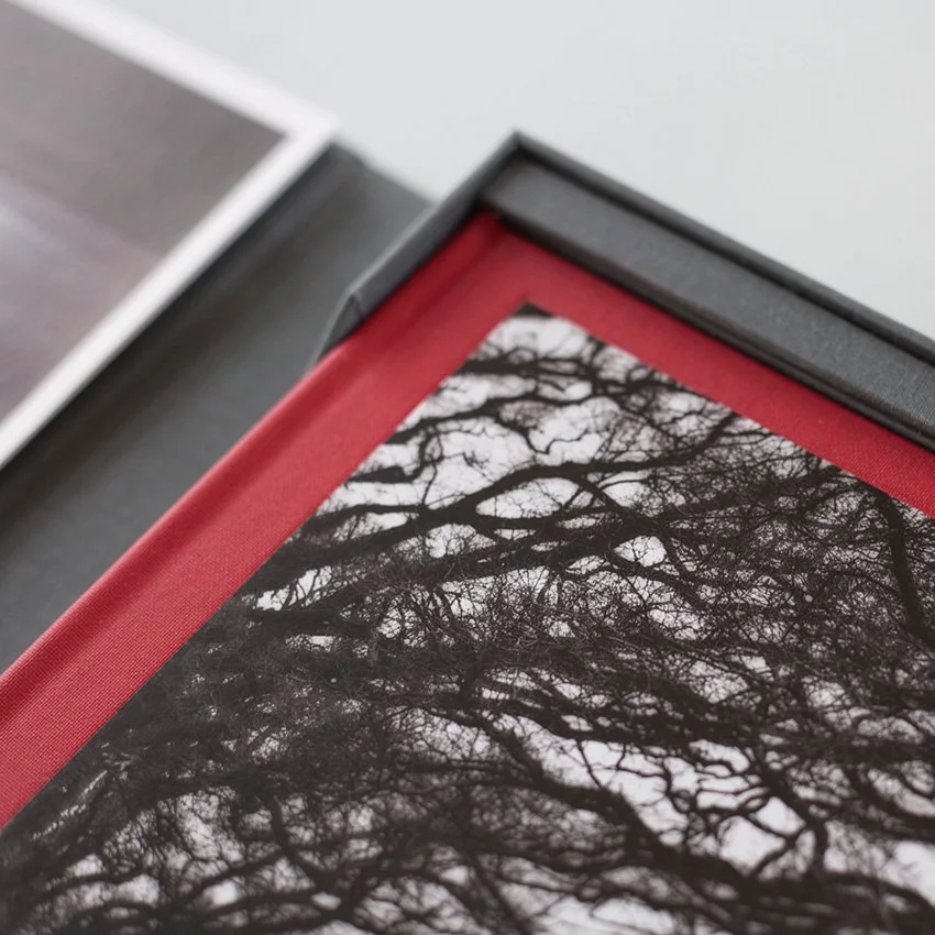 Detail of the red I Also Fight Windmills photobook and black-and-white tree photograph inside the collector’s box.