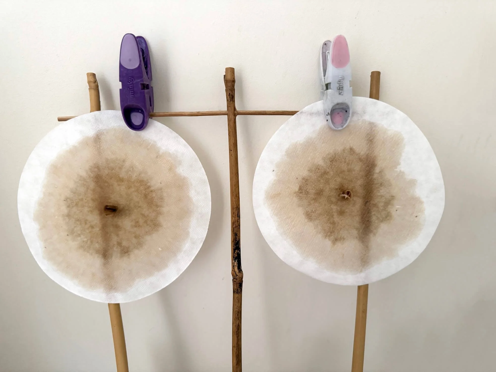 Two soil chromatographs developing on circular filter papers.
