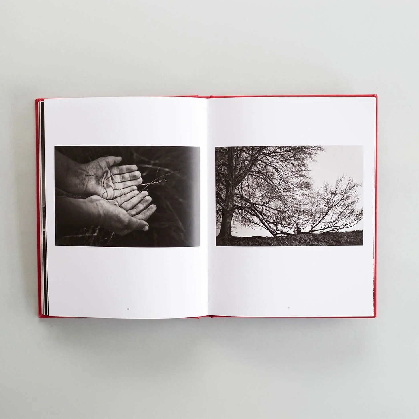 Open I Also Fight Windmills photobook showing black-and-white photographs of hands and trees.