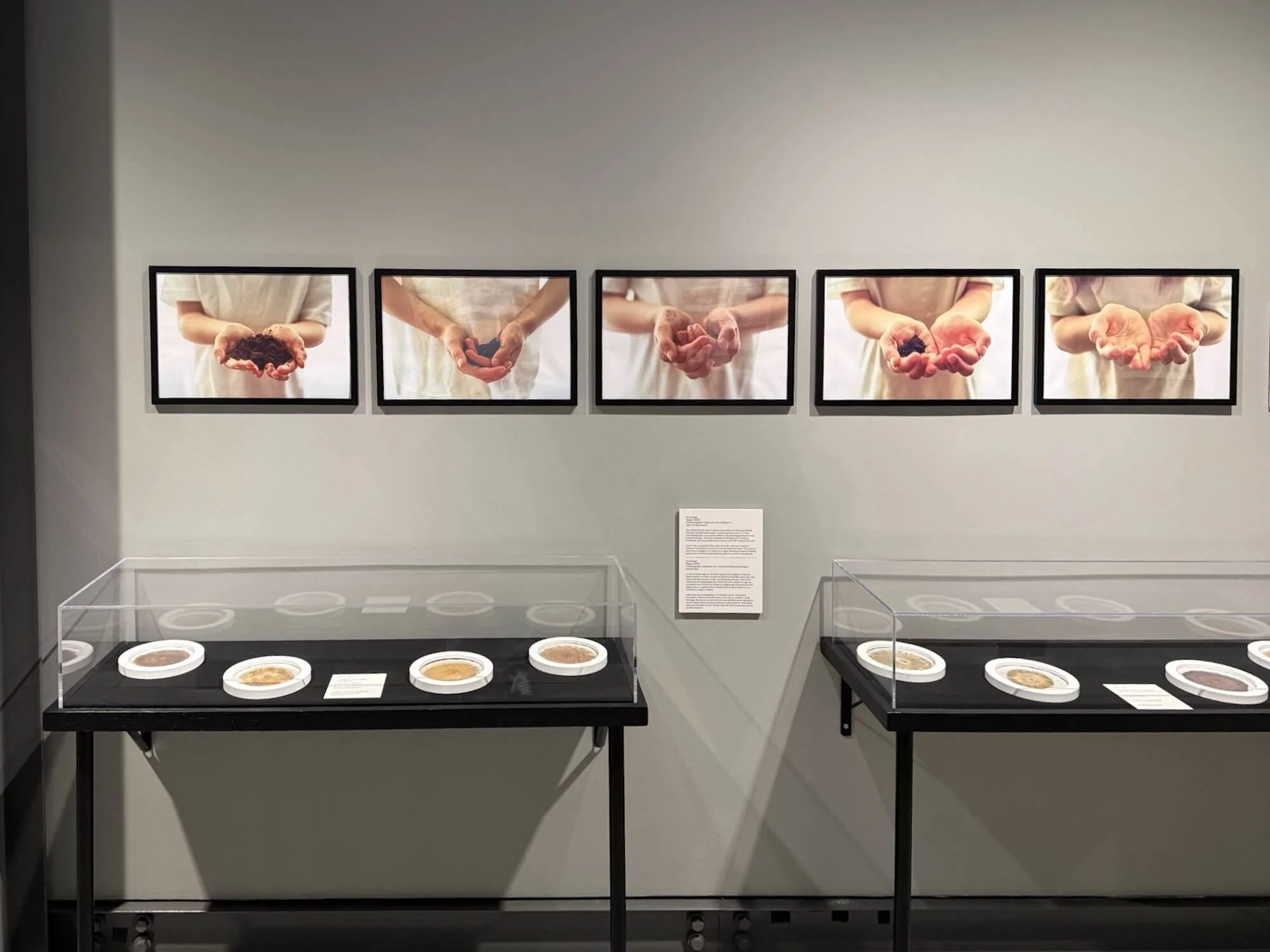 Installation view of Ania Ready’s work in Letters from Liberation at Holocaust Museum Houston.