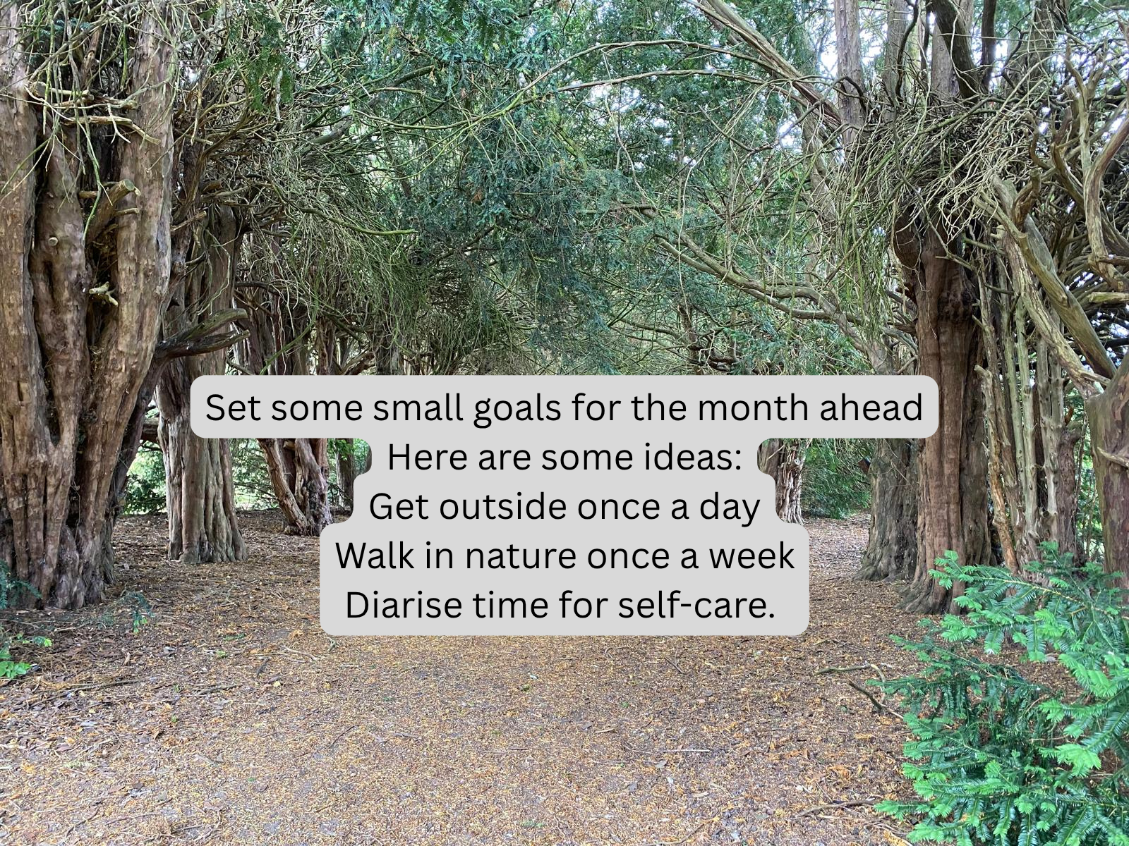 Setting Intentions