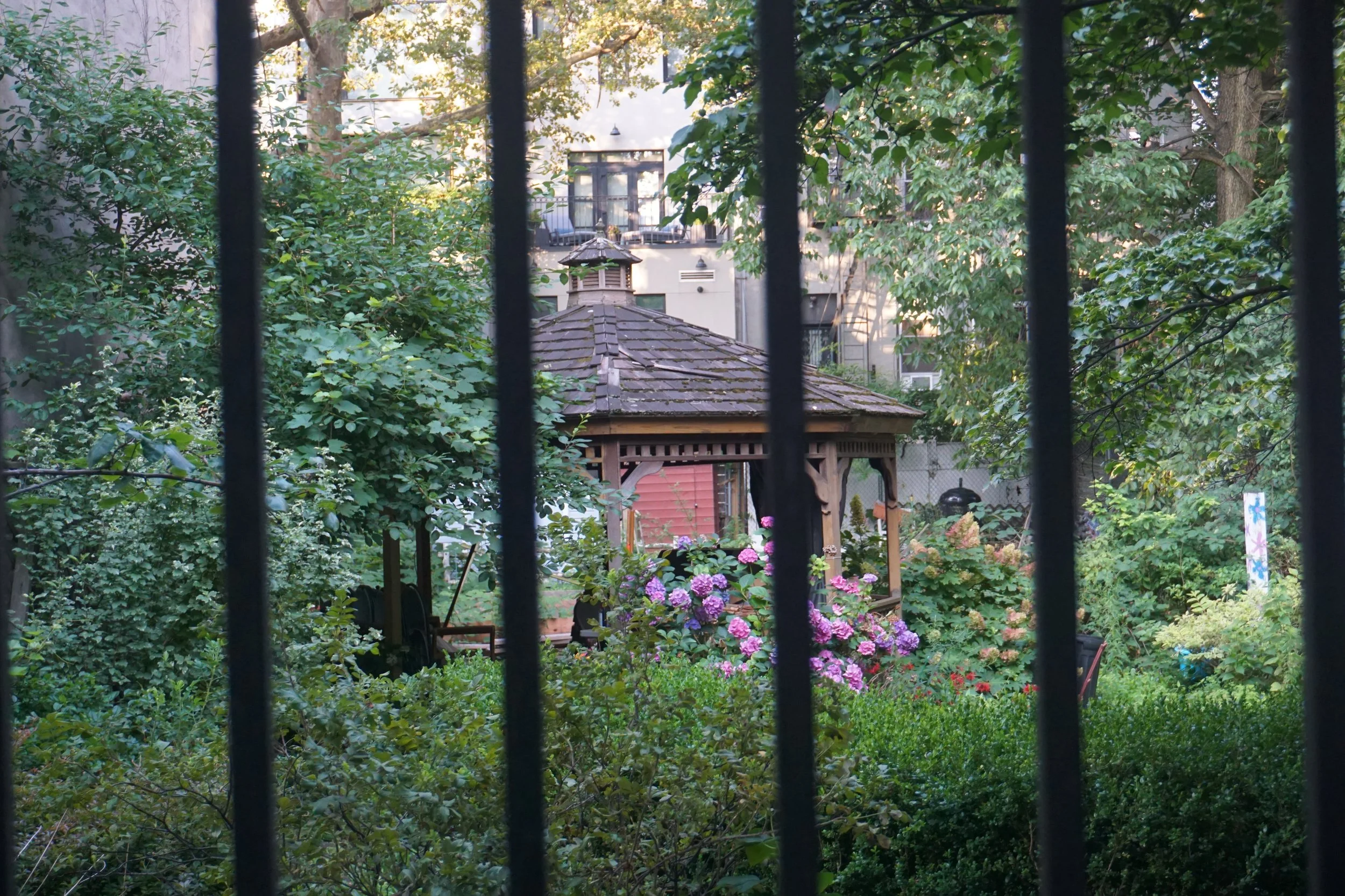 Vista: through the wire