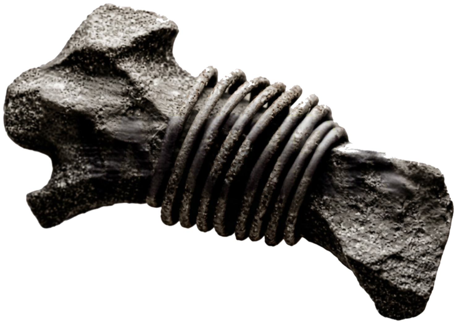 Close-up of a small, weathered, dark-colored bolt with a hexagonal head and threaded body, isolated on a white background.