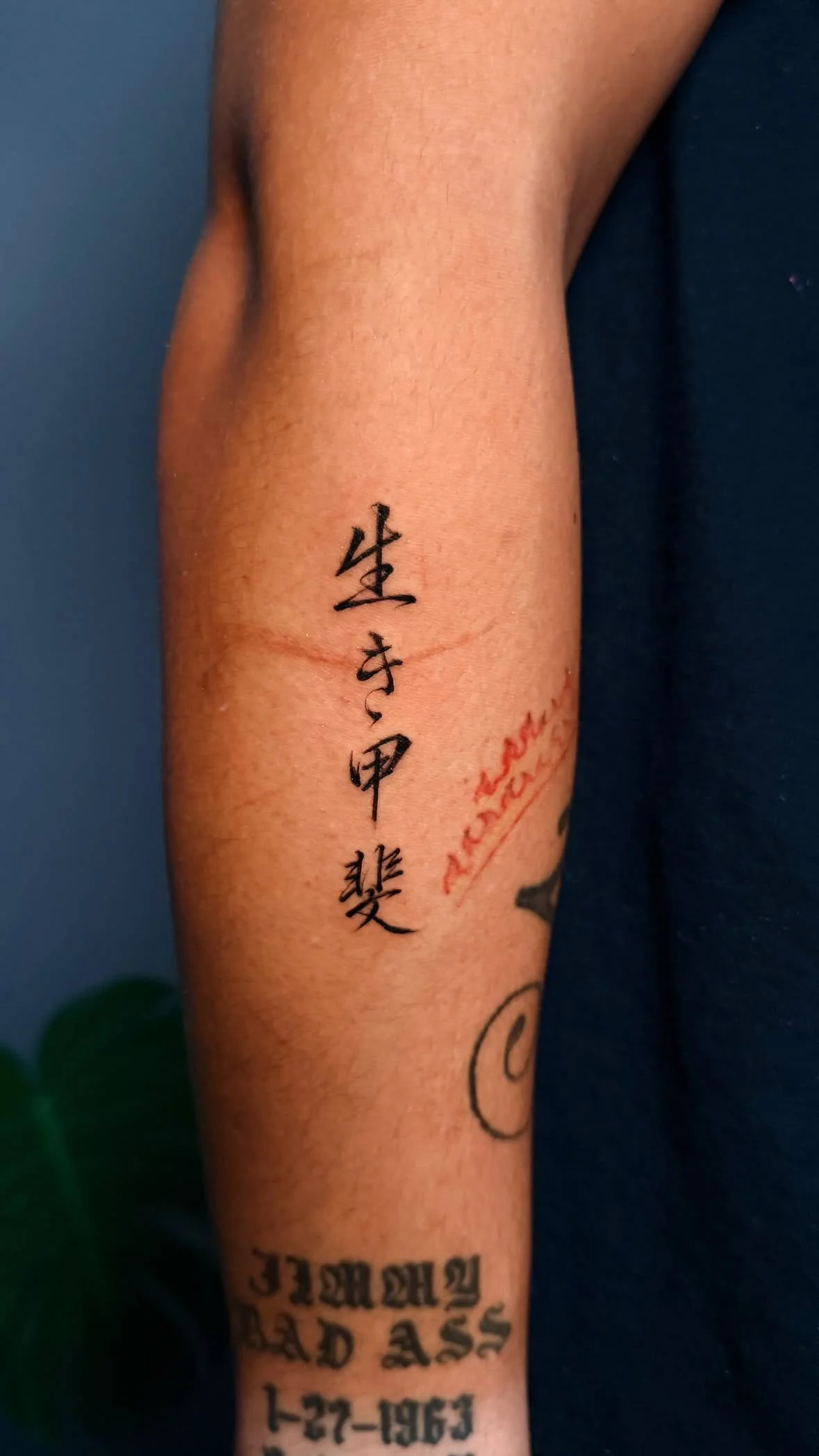 S__21184523_0.jpg