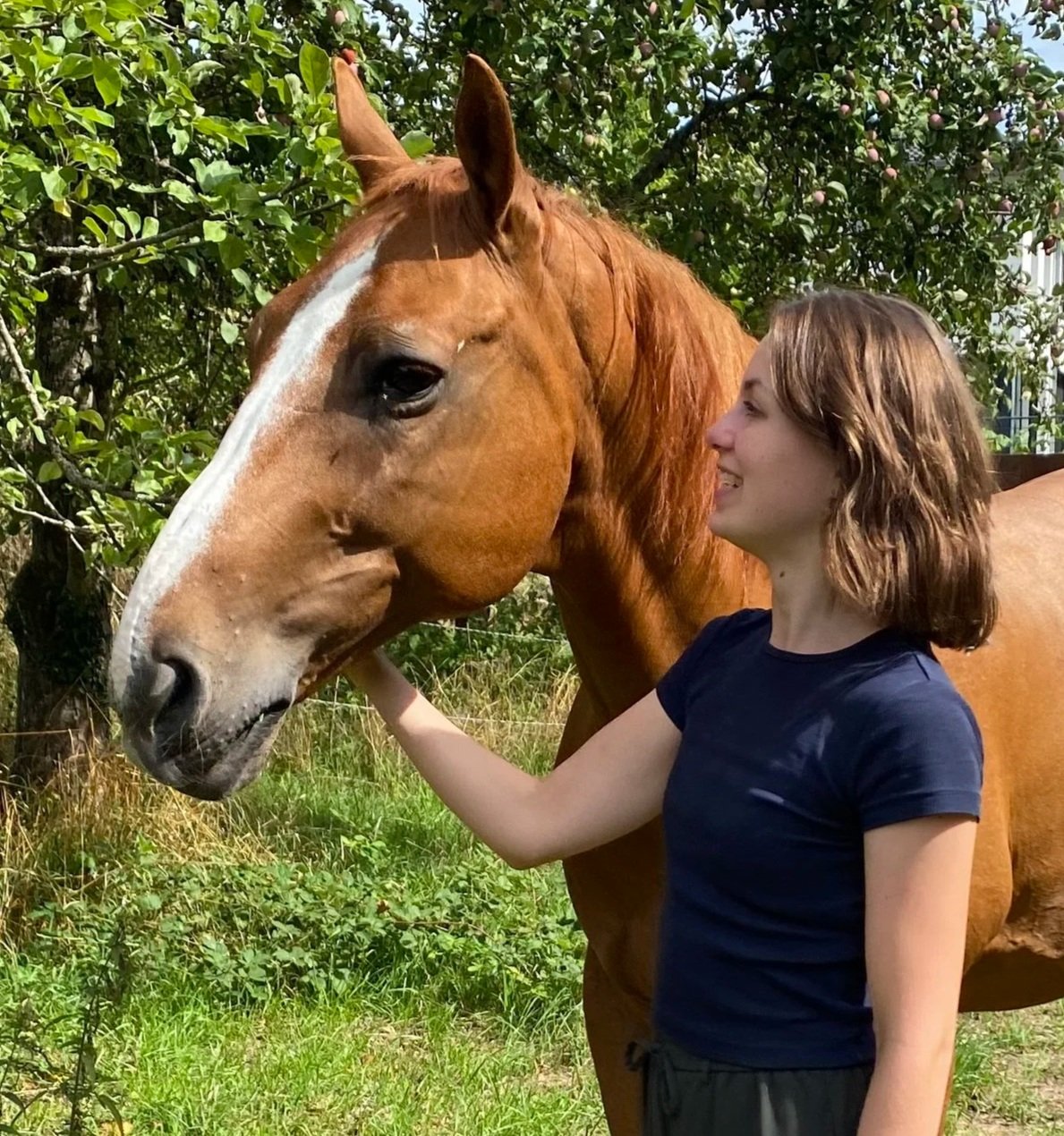 Freundliche junge Frau streichelt ein braunes Pferd im Grünen.