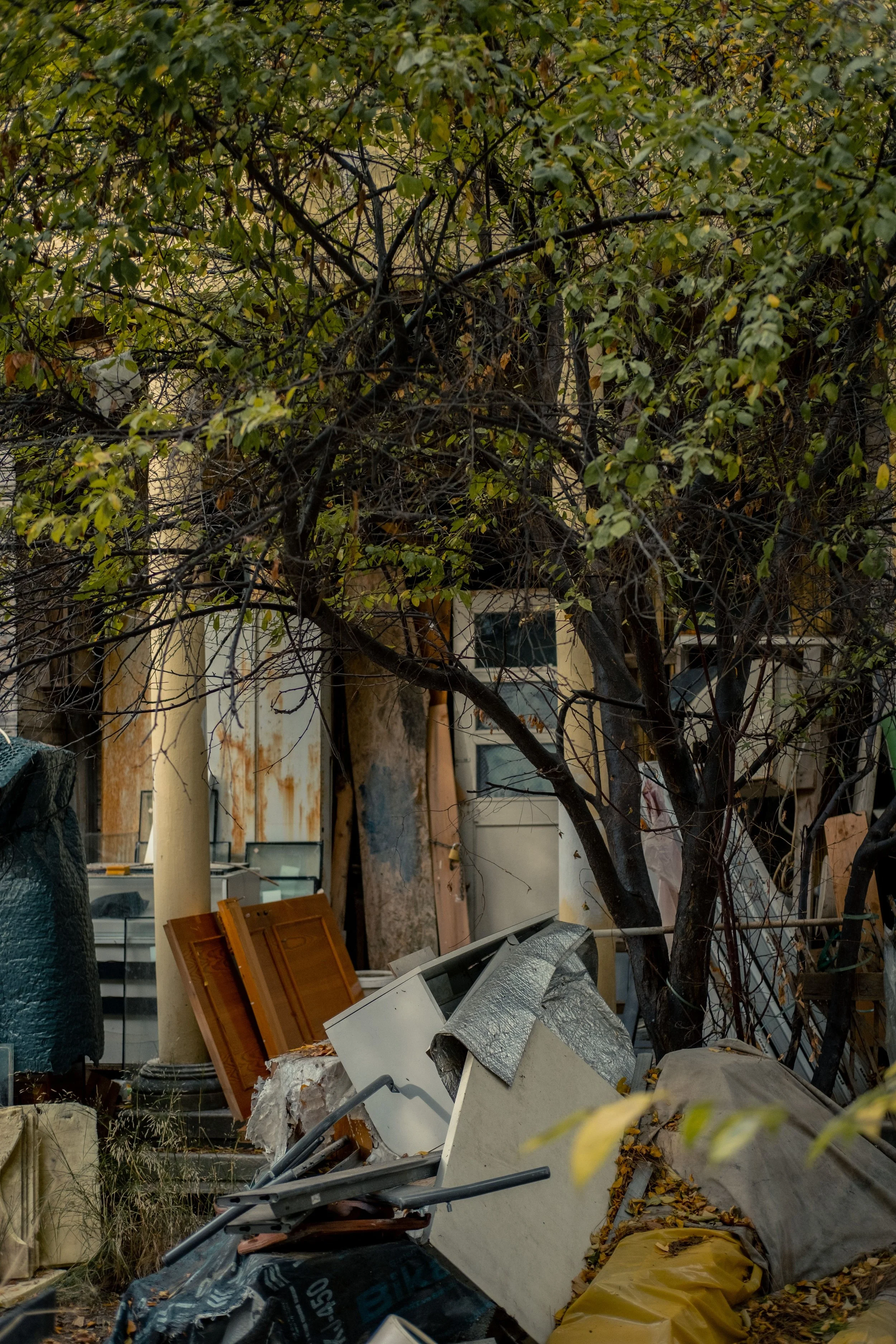 A cluttered outdoor space filled with debris, torn cabinets, metal objects, and fallen leaves beneath a leafy tree helping to obscure the background.