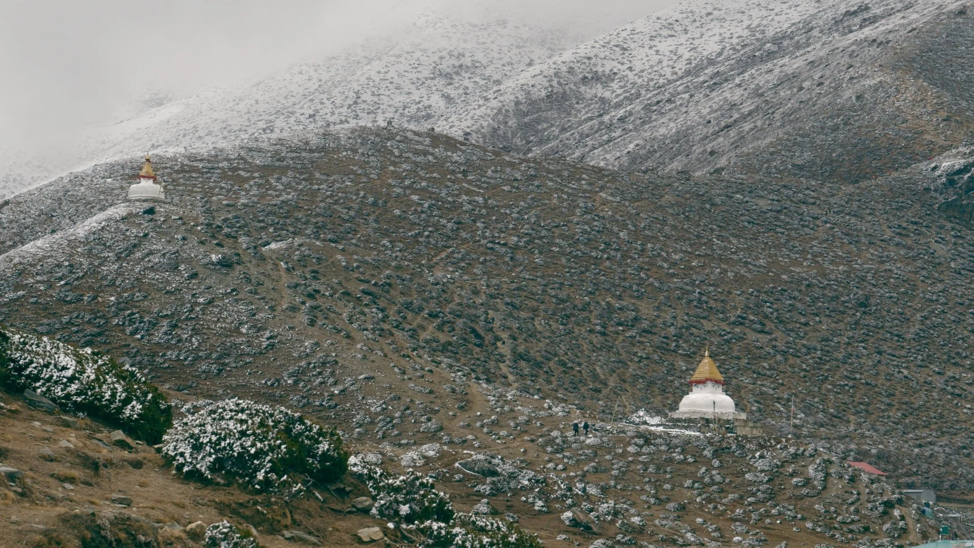 Plateau himalayen avec stupa