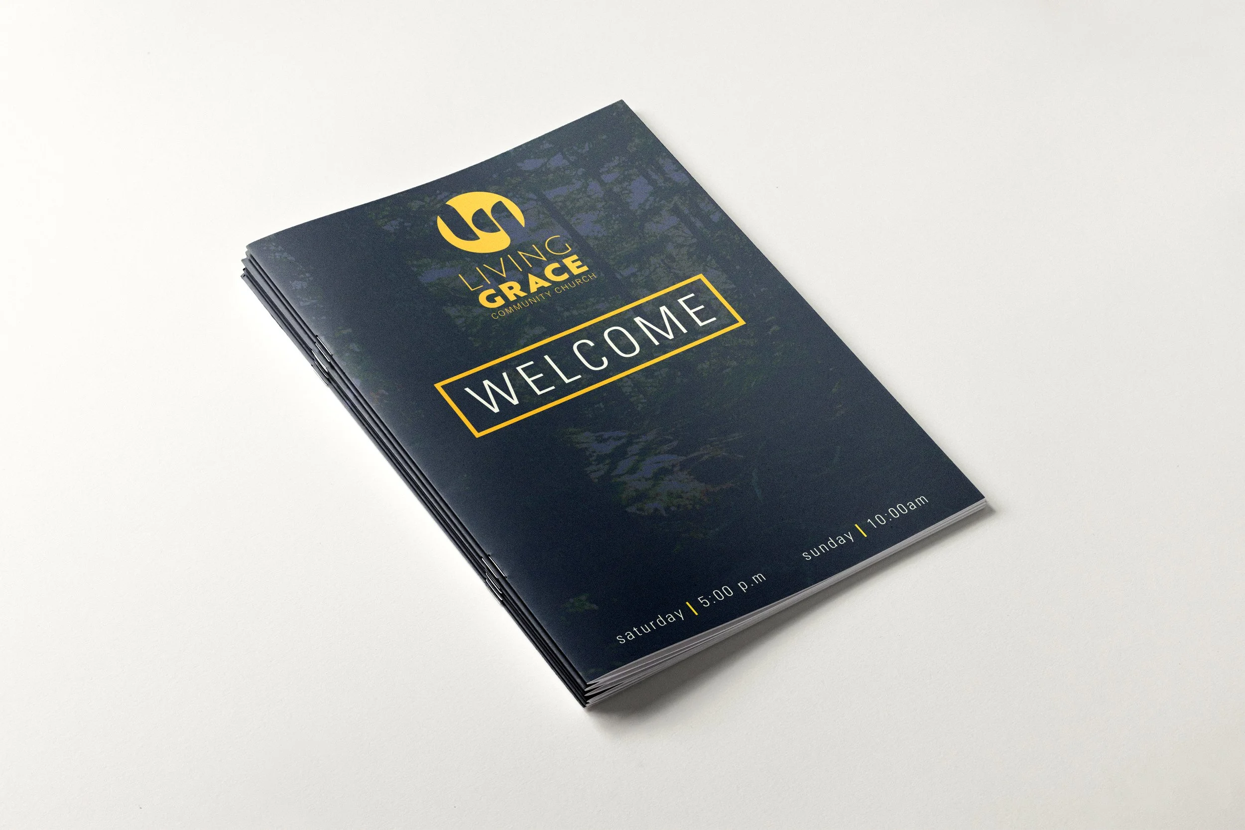 LG_Brochure_2.jpg