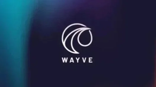 Logo featuring stylized wave with the text 'WAYVE' below it on a dark gradient background.