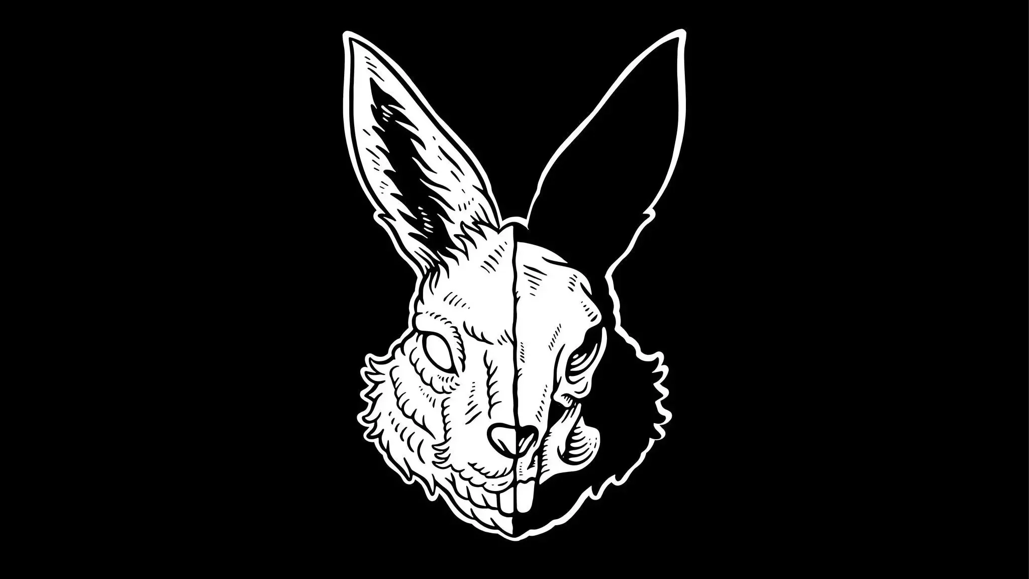 Black and white illustration of a rabbit skull with long ears, facing forward.