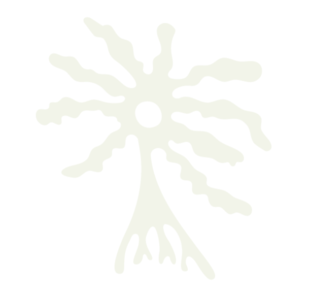 Groundation