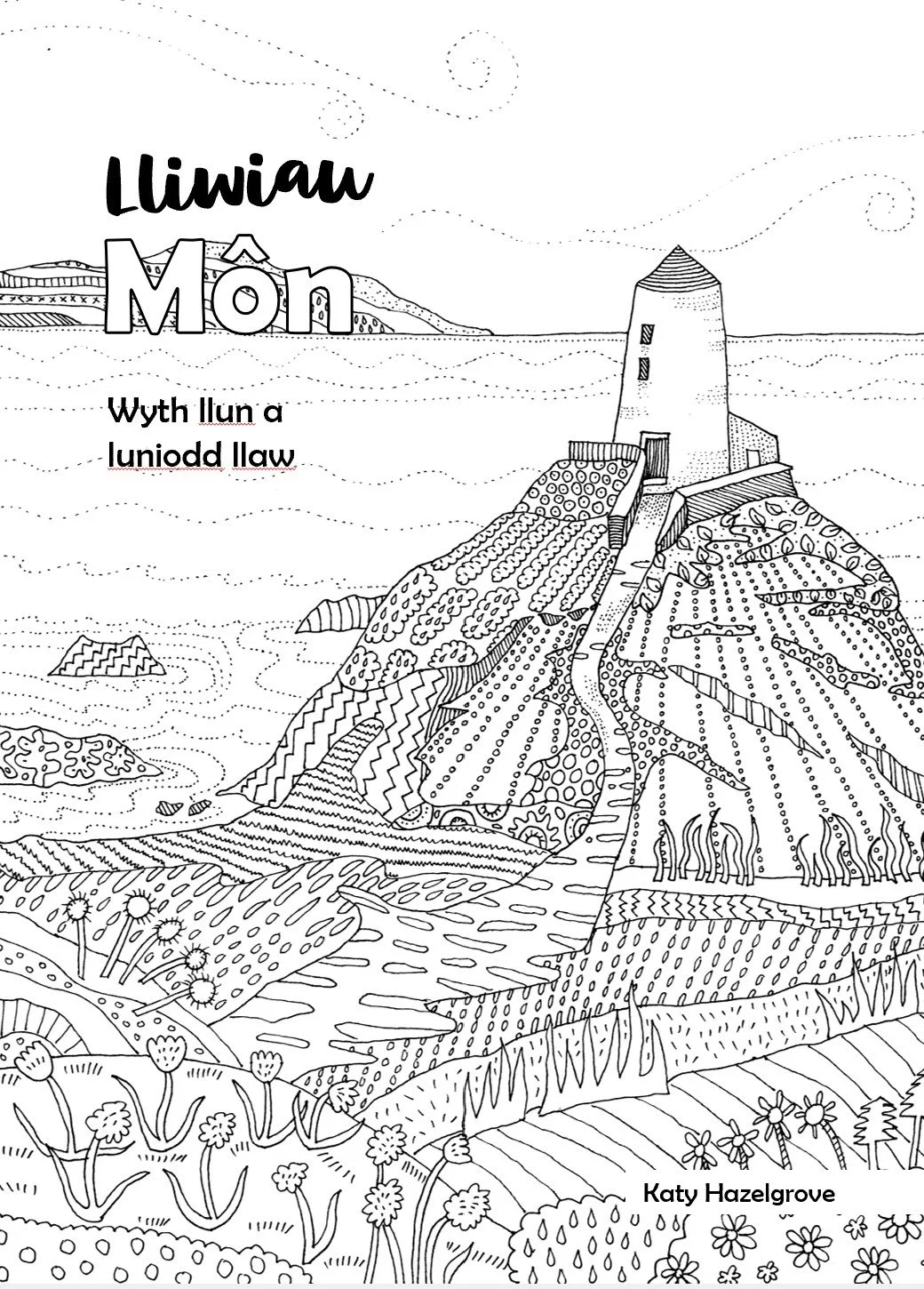 Welsh colouring Anglesey front cover.jpg