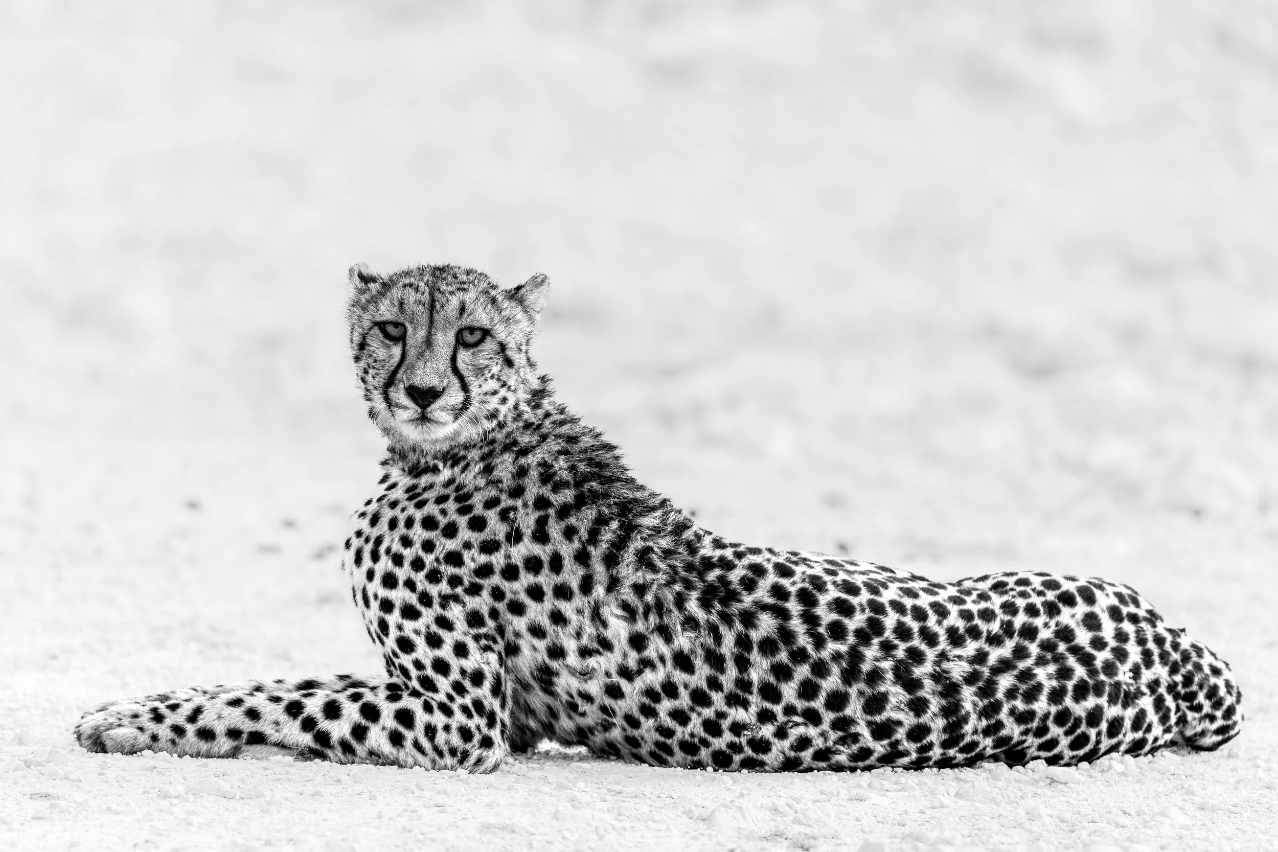 _5II0248.jpg